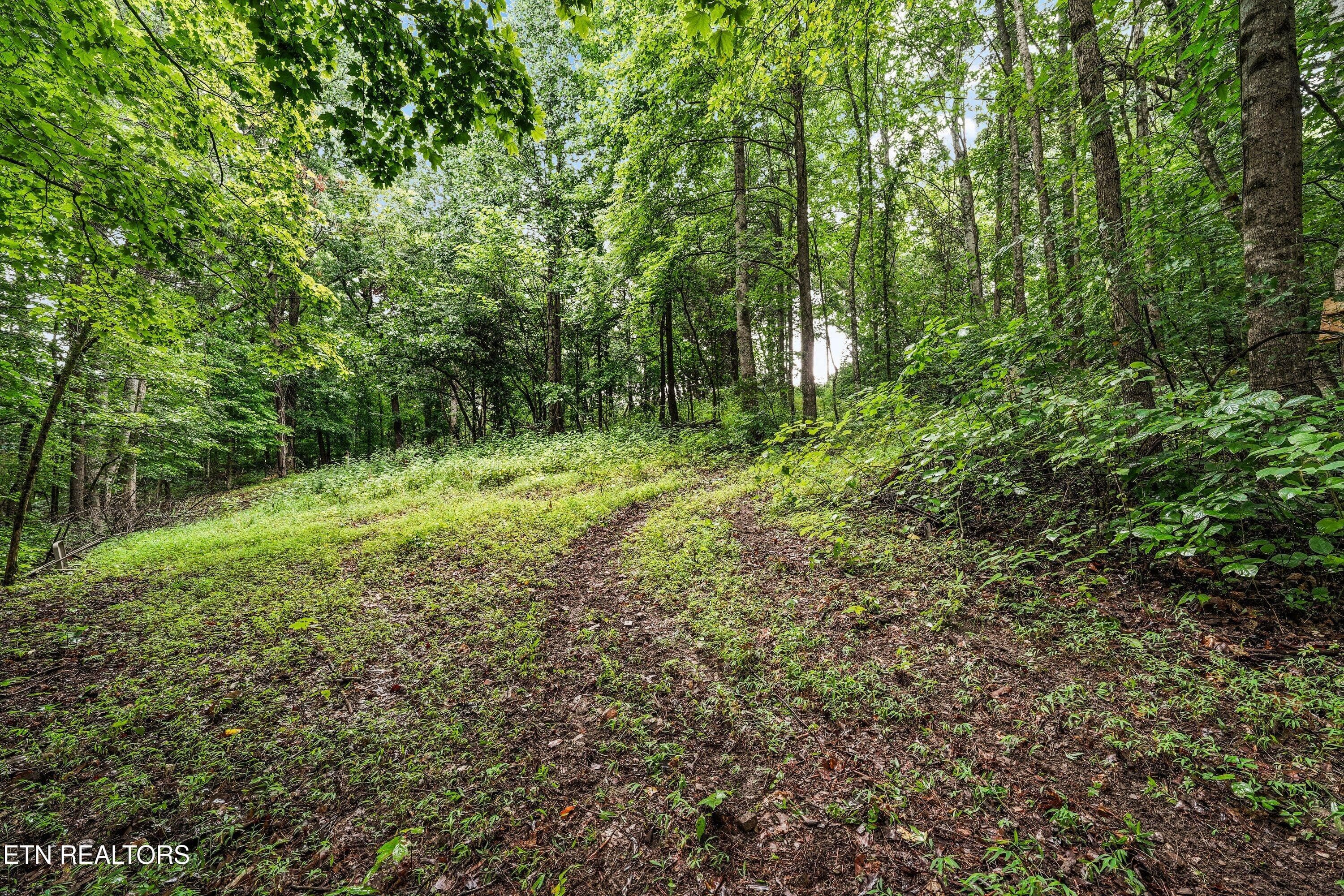 Back Trails - 119 Springhouse Rd, Powell, TN 37849, Powell