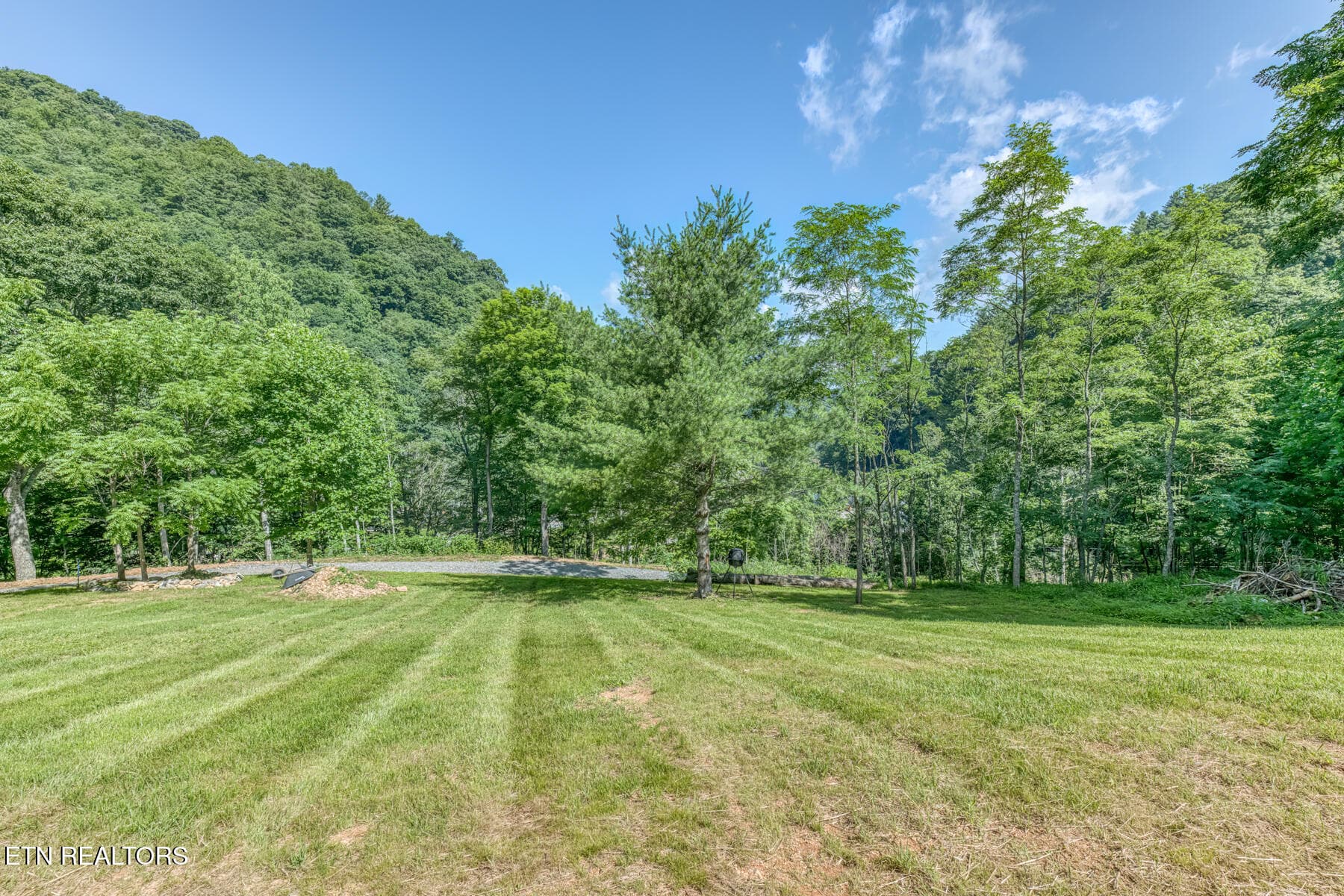 128 Antioch Rd-5 - 128 Antioch Rd, Mountain City, TN 37683
