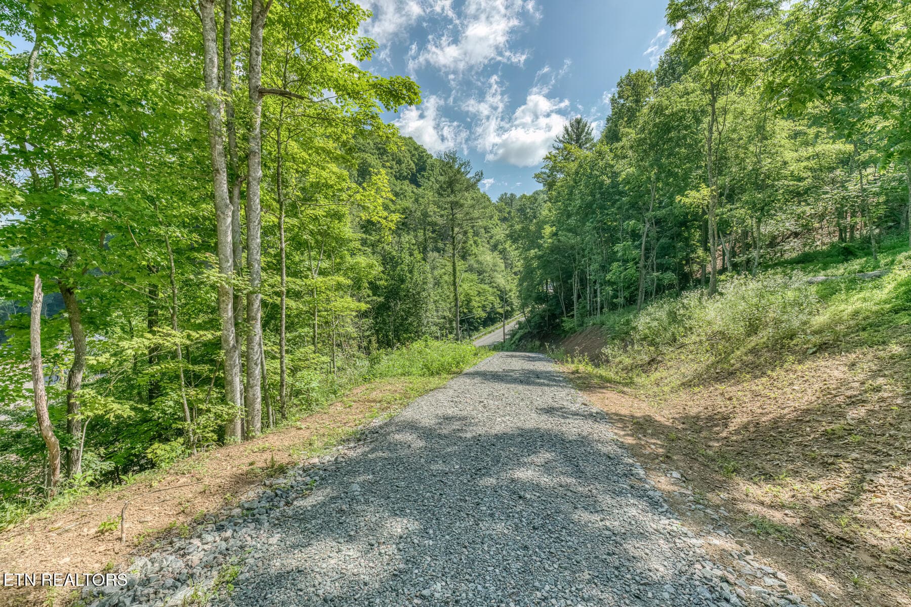 128 Antioch Rd-30 - 128 Antioch Rd, Mountain City, TN 37683