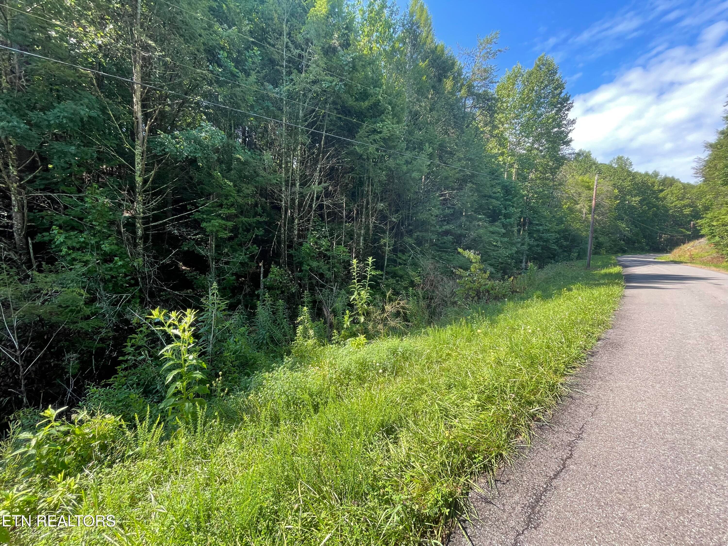 3 Point Road Lots 7,8,9, Vonore, TN 37885