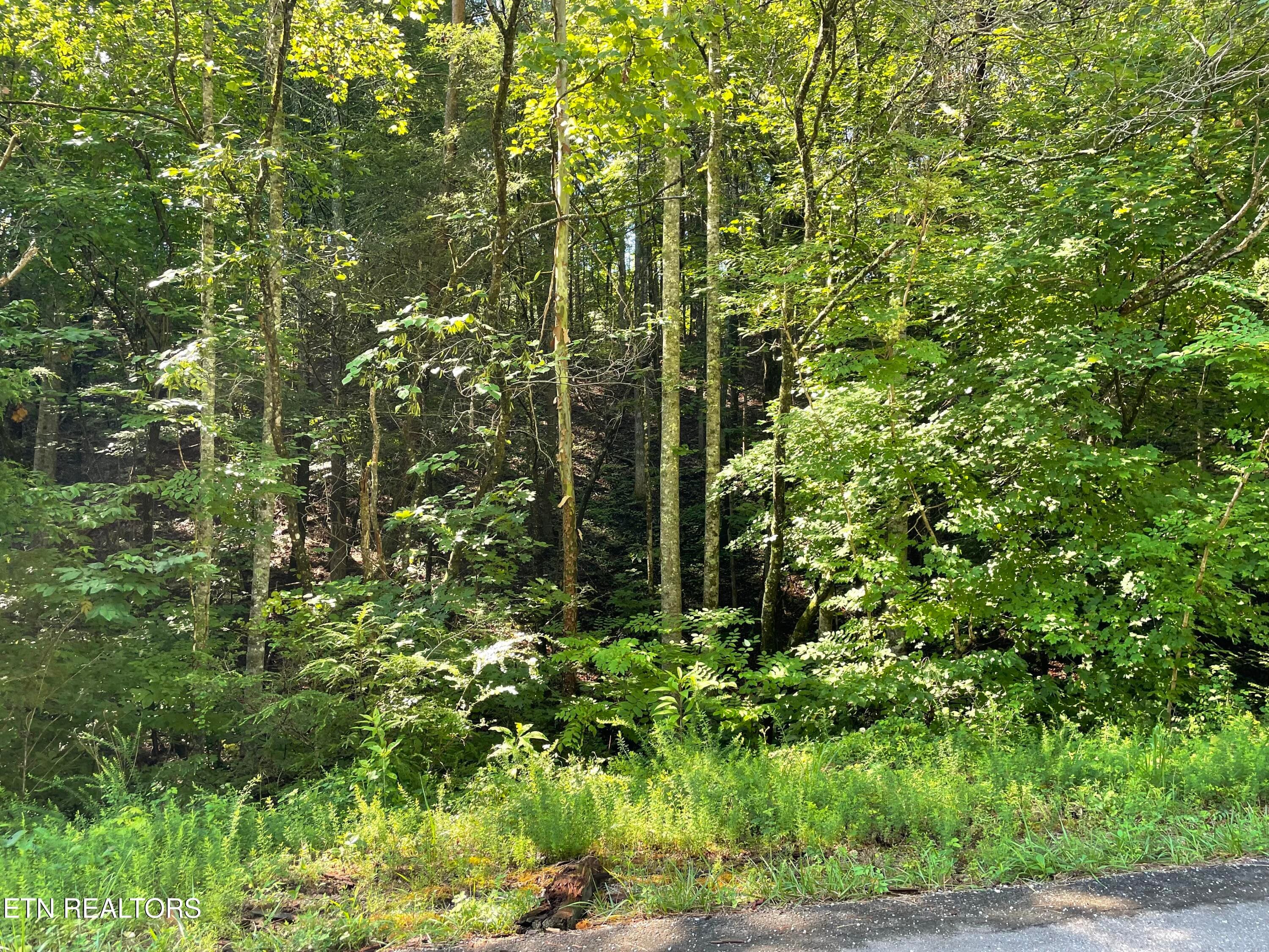 IMG_2305 - 3 Point Road Lots 7,8,9, Vonore, TN 37885