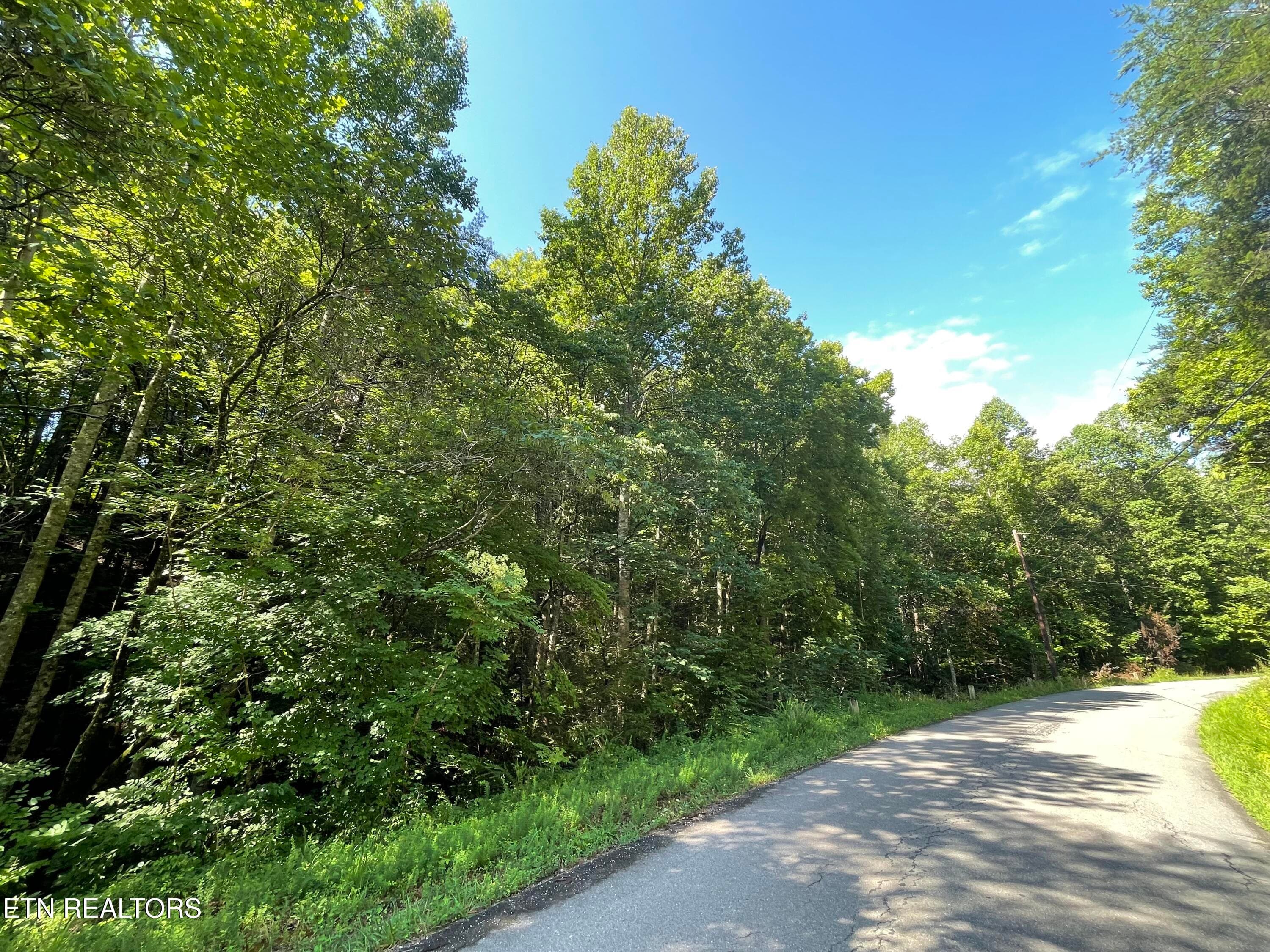IMG_2309 - 3 Point Road Lots 7,8,9, Vonore, TN 37885