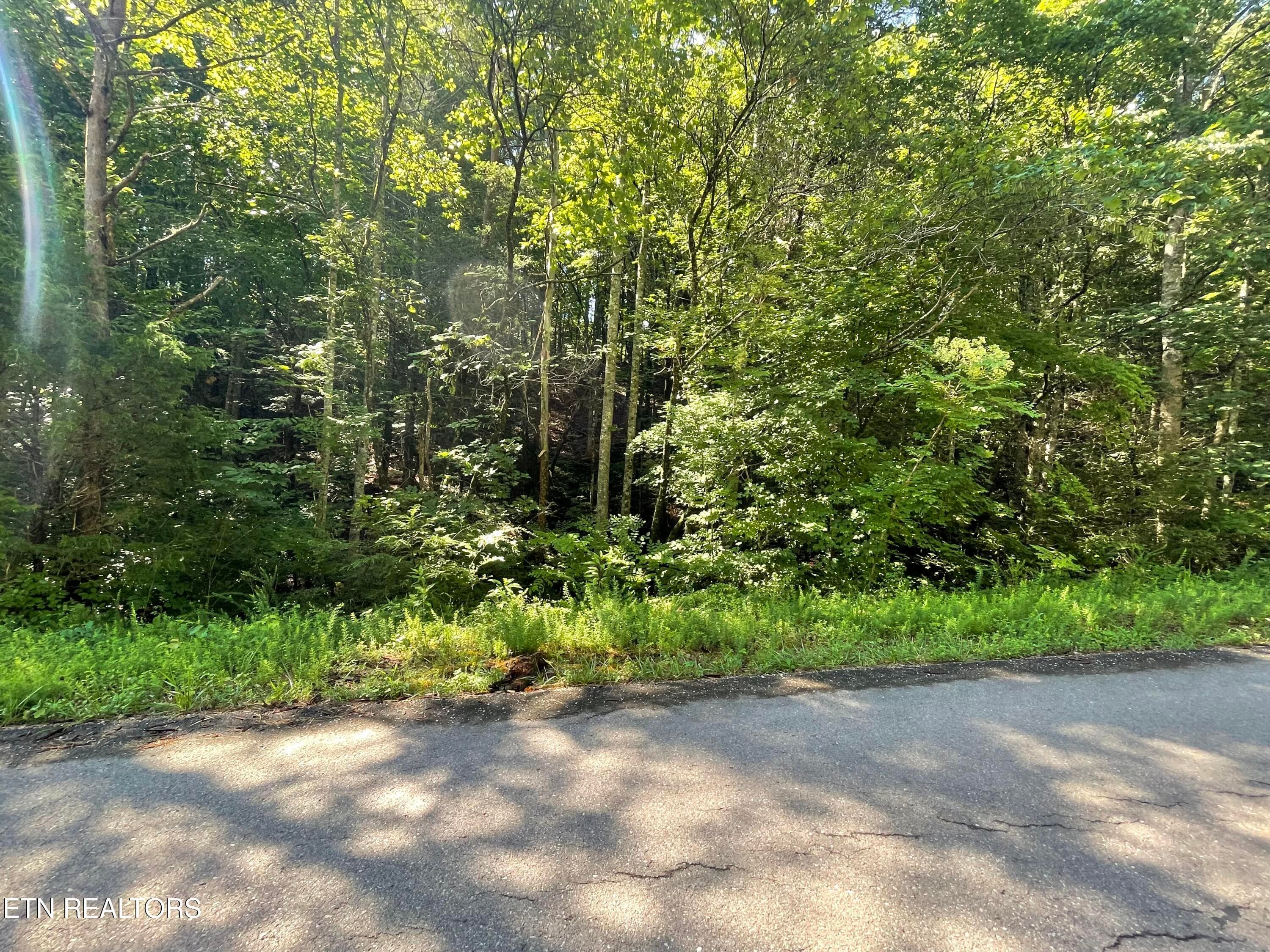 IMG_2311 - 3 Point Road Lots 7,8,9, Vonore, TN 37885