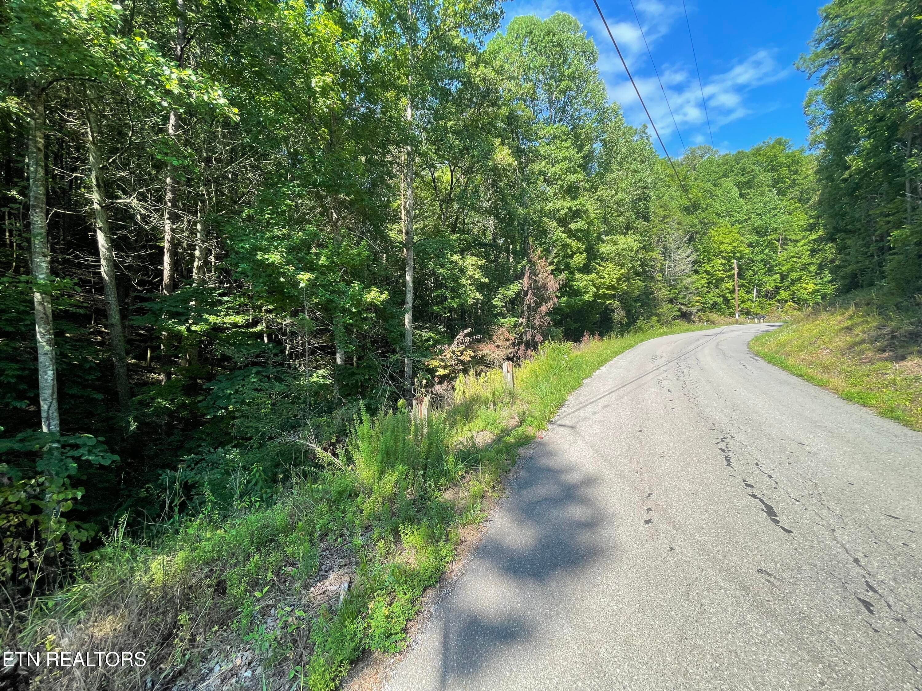 IMG_2325 - 3 Point Road Lots 7,8,9, Vonore, TN 37885