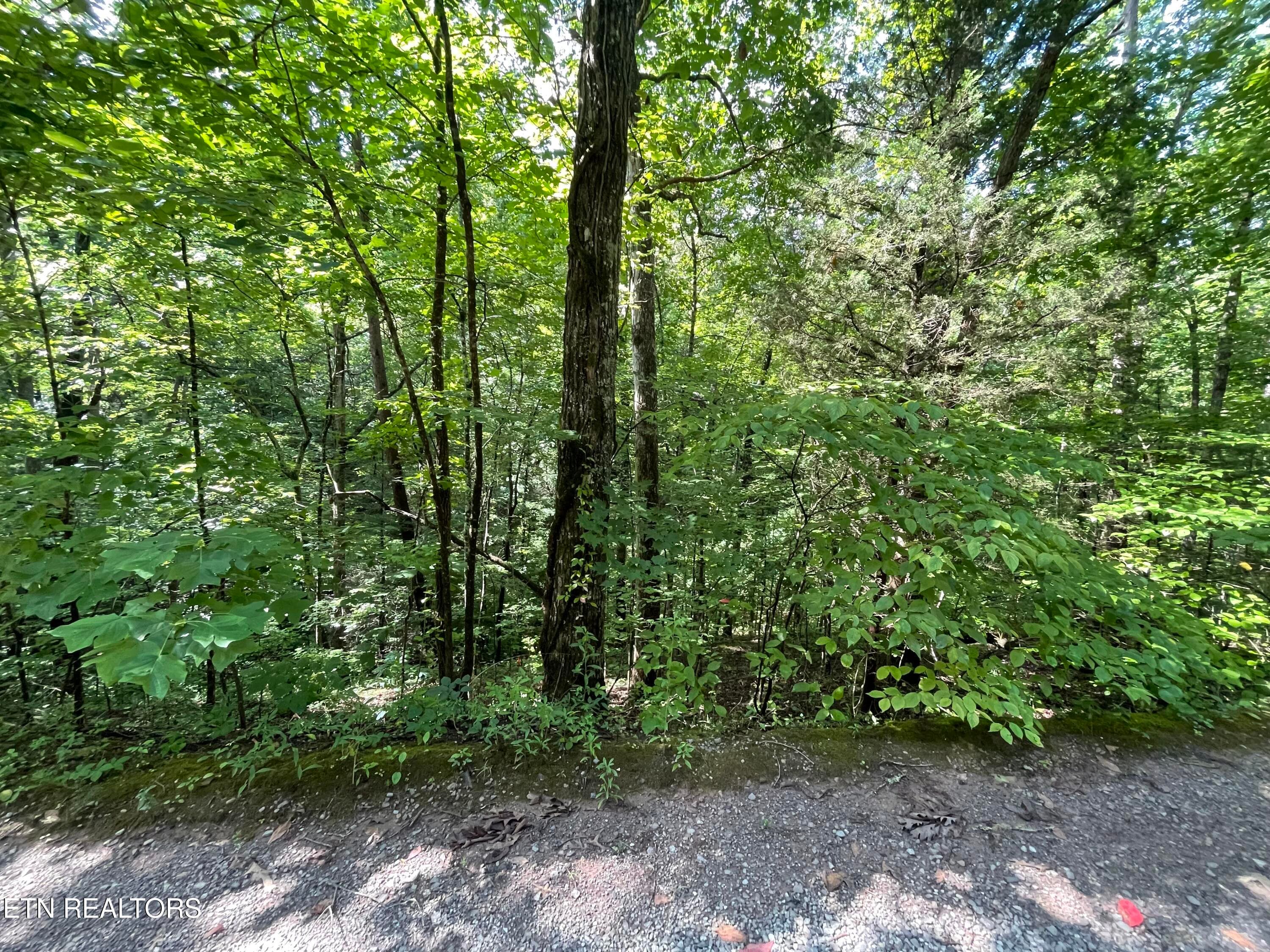 IMG_2337 - 3 Point Road Lots 7,8,9, Vonore, TN 37885