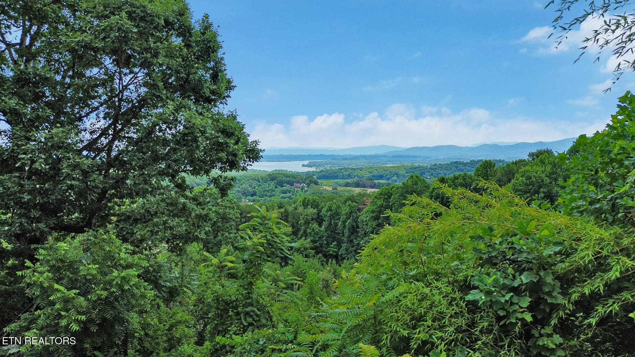 dji_0183-dji_0185 - 2425 Promise Lane, White Pine, TN 37890, White Pine