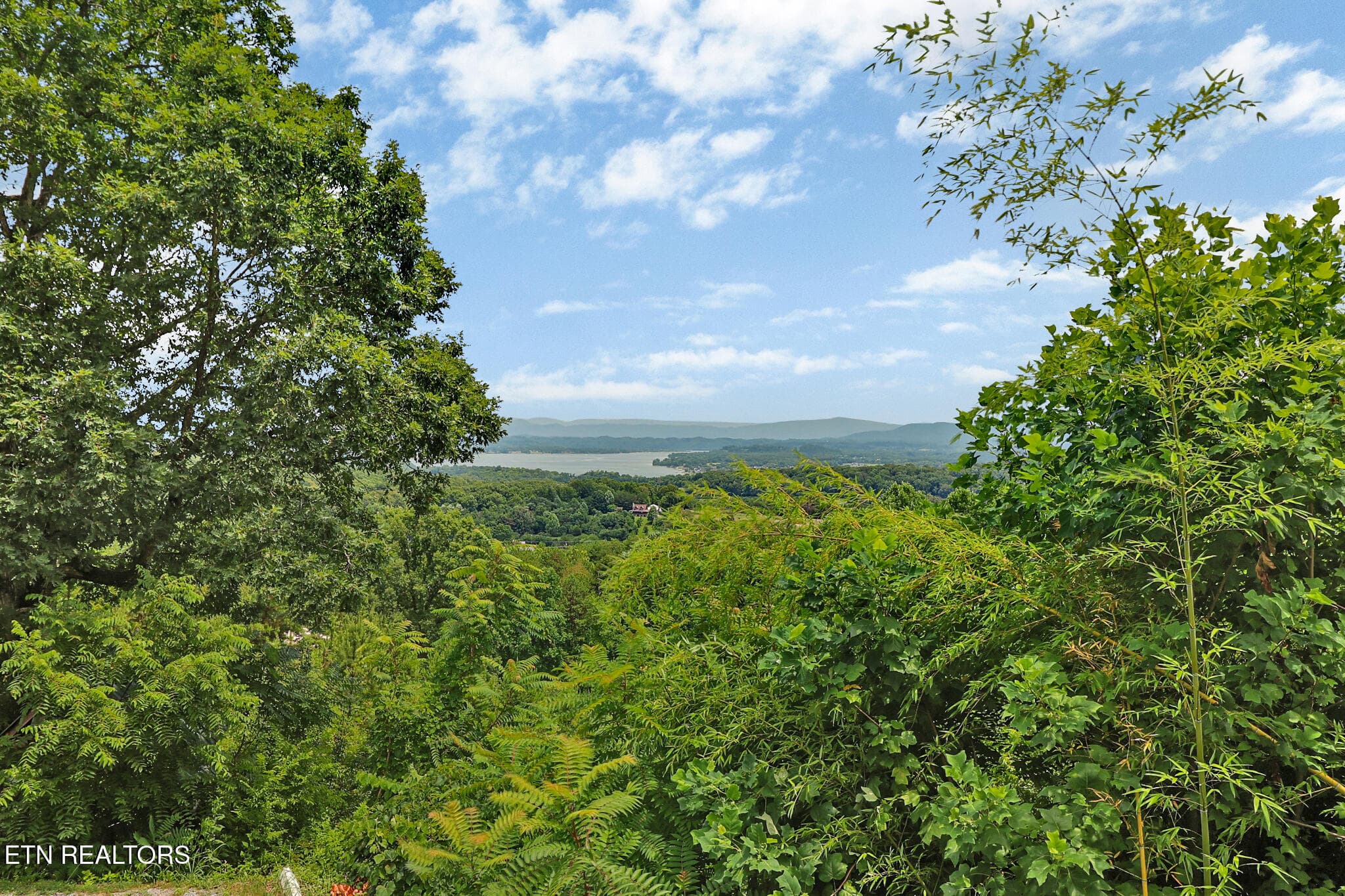 n44a3844-n44a3848 - 2425 Promise Lane, White Pine, TN 37890, White Pine