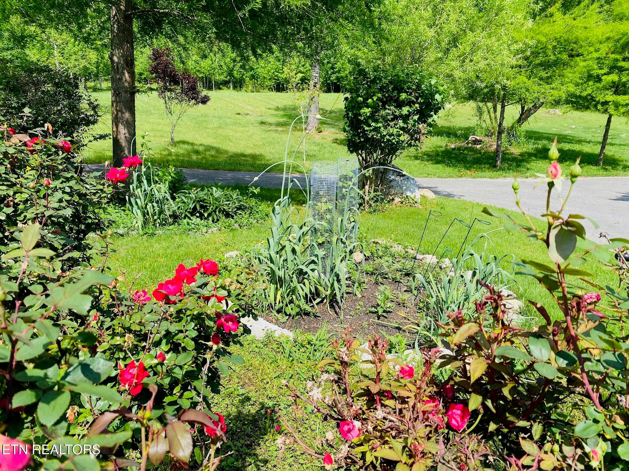 5.16.23(5) - 1751 County Road 50, Riceville, TN 37370