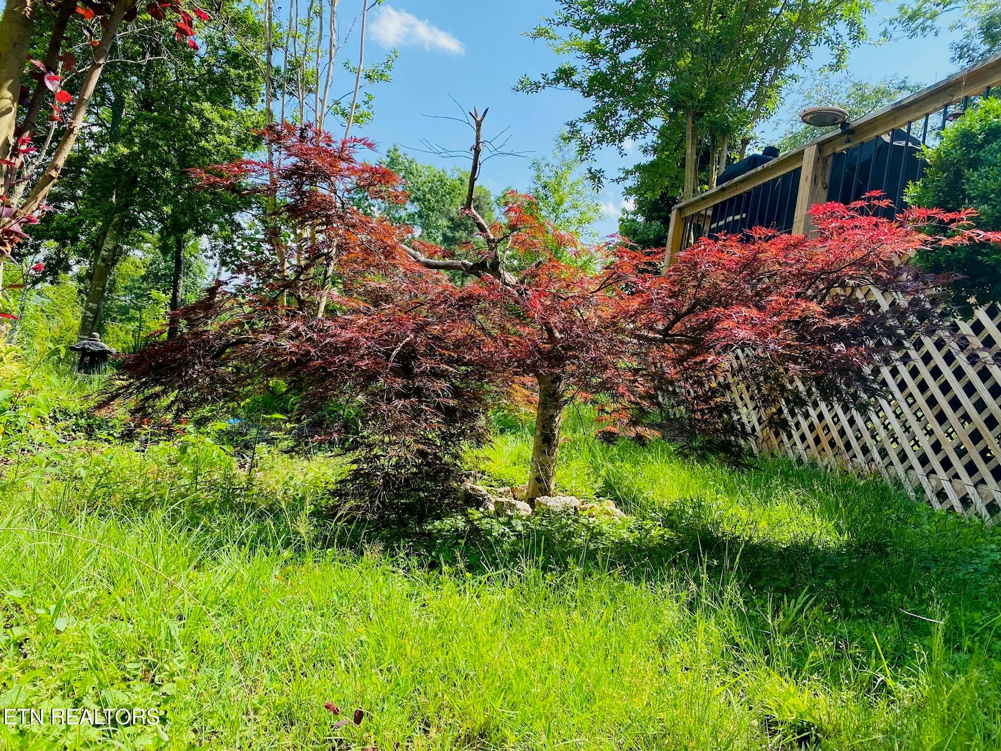 5.16.23(7) - 1751 County Road 50, Riceville, TN 37370