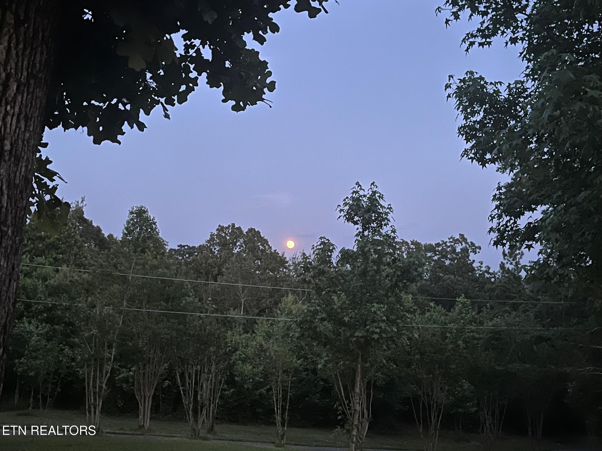 6.3.23(2) - 1751 County Road 50, Riceville, TN 37370
