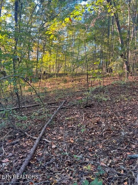 196 Woodstock Drive #179, Rutledge, TN 37861