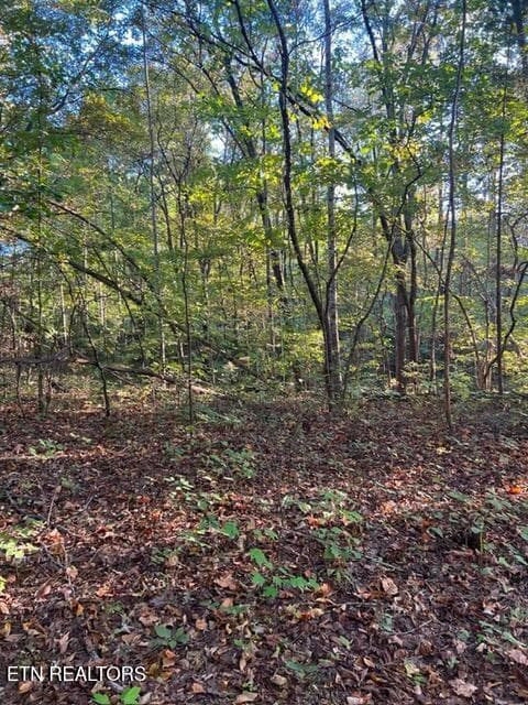 a87f407a21d6f6d890c0949fefdad877 (1) - 196 Woodstock Drive #179, Rutledge, TN 37861