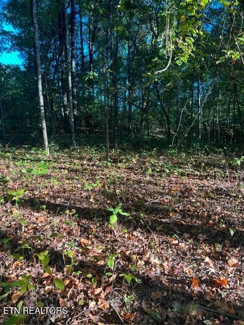 8ab3861dfa88563df30149f18998a2d1 - 196 Woodstock Drive #179, Rutledge, TN 37861