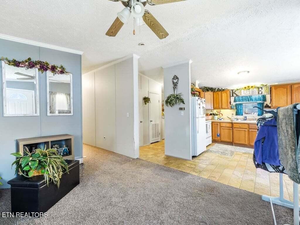170 Burnett Chapel Ln - 6 - 170 Burnett Chapel Lane, Greeneville, TN 37743