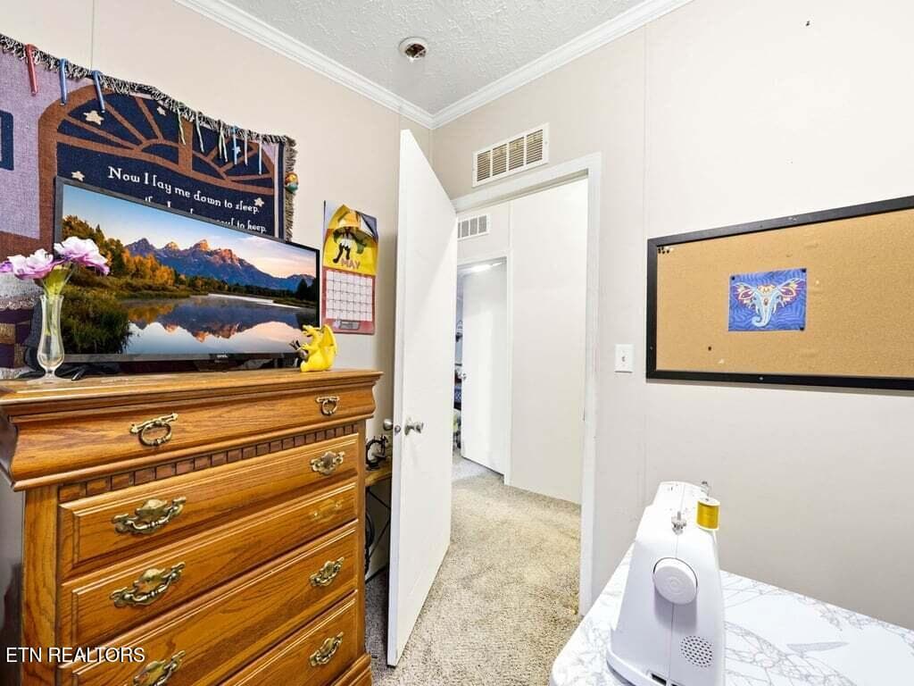 170 Burnett Chapel Ln - 13 - 170 Burnett Chapel Lane, Greeneville, TN 37743