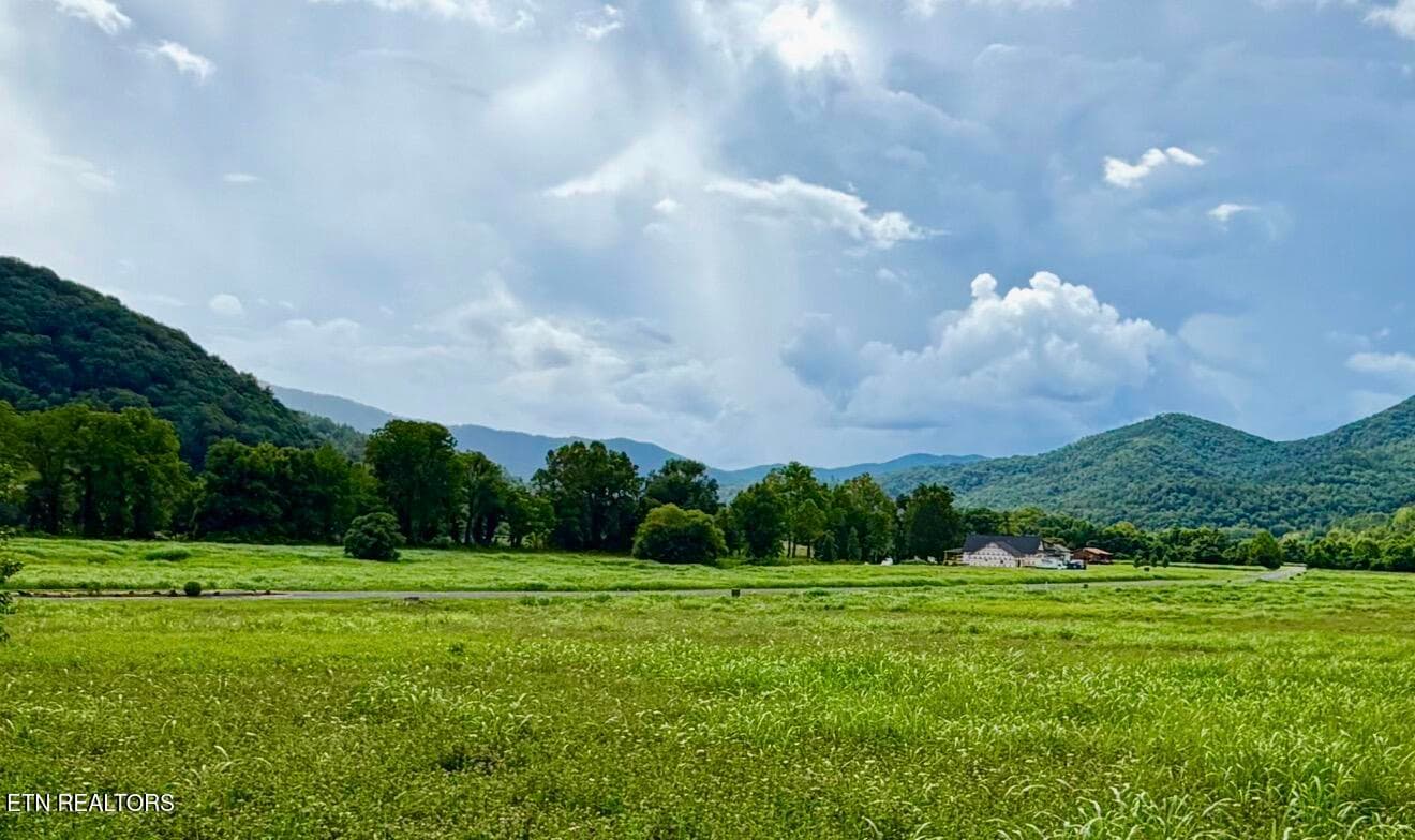 View from House Sites - Lot 146 River Rapids Way, Del Rio, TN 37727