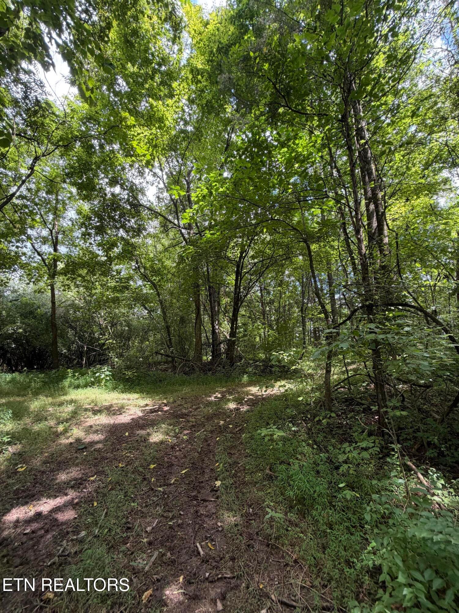 IMG_2684 - 119 Springhouse Rd, Powell, TN 37849, Powell