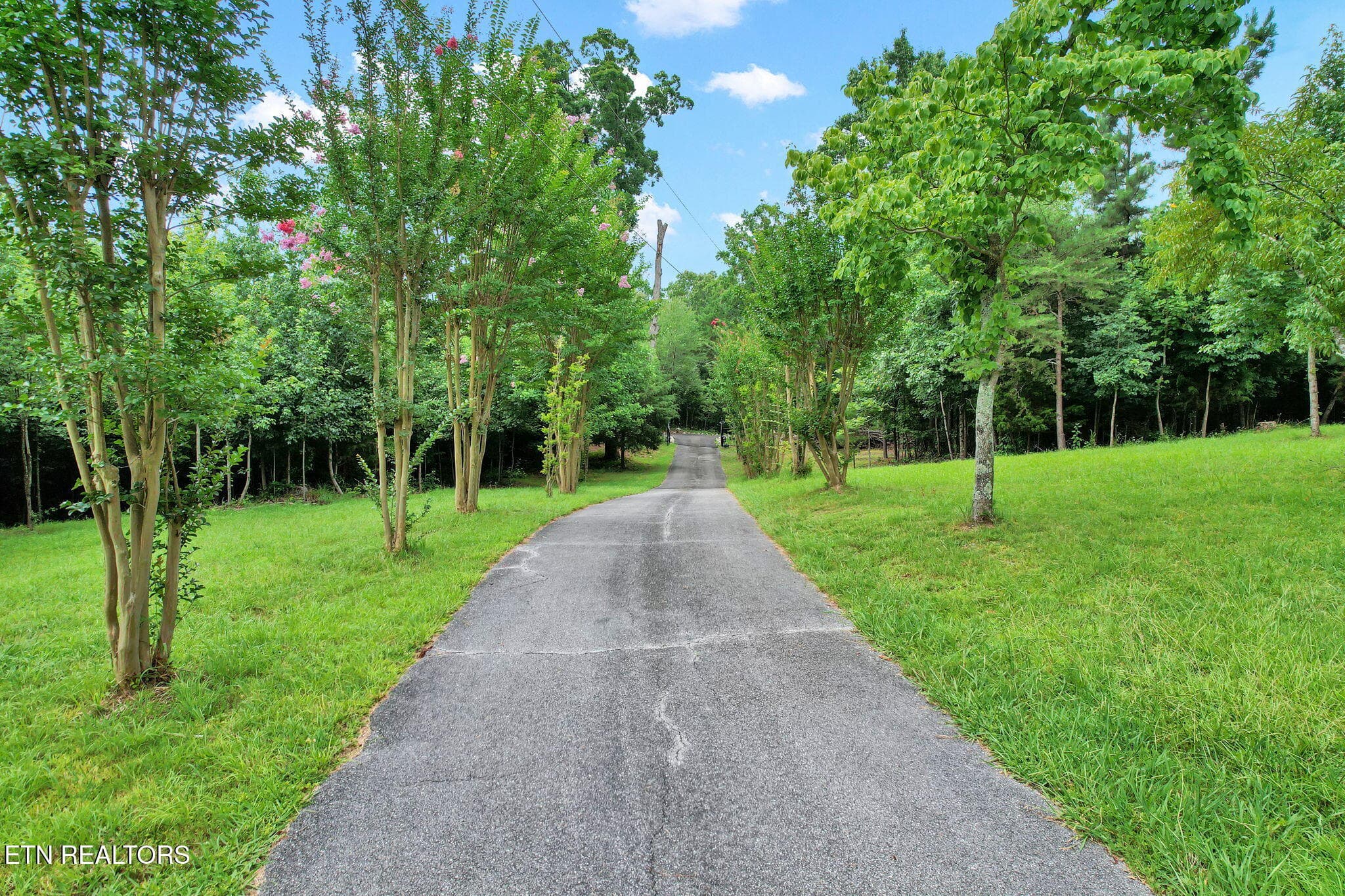 22-web-or-mls-DJI_0599 - 1751 County Road 50, Riceville, TN 37370