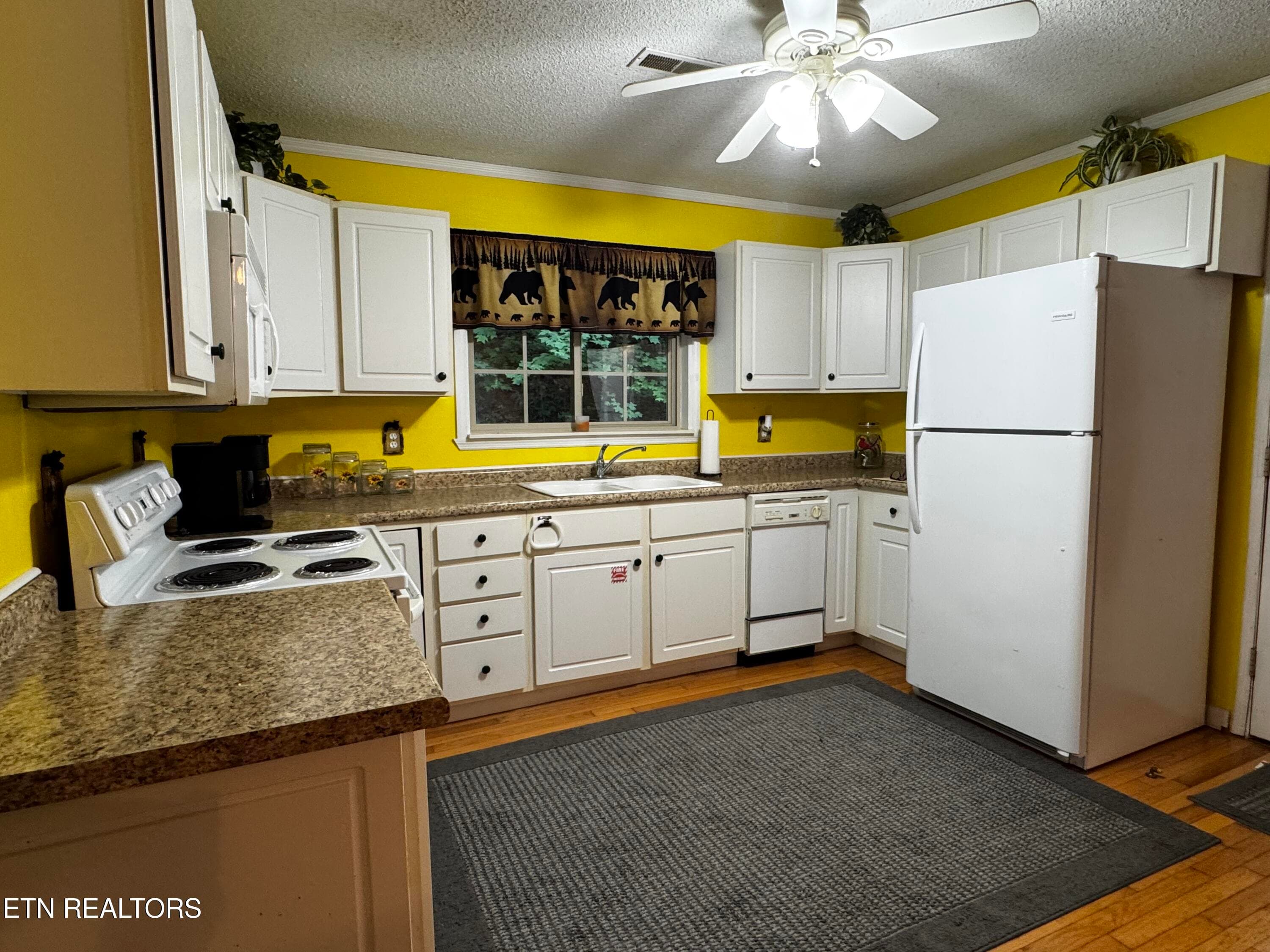 parton kit 2 - 530 Parton Drive, Gatlinburg, TN 37738, Gatlinburg