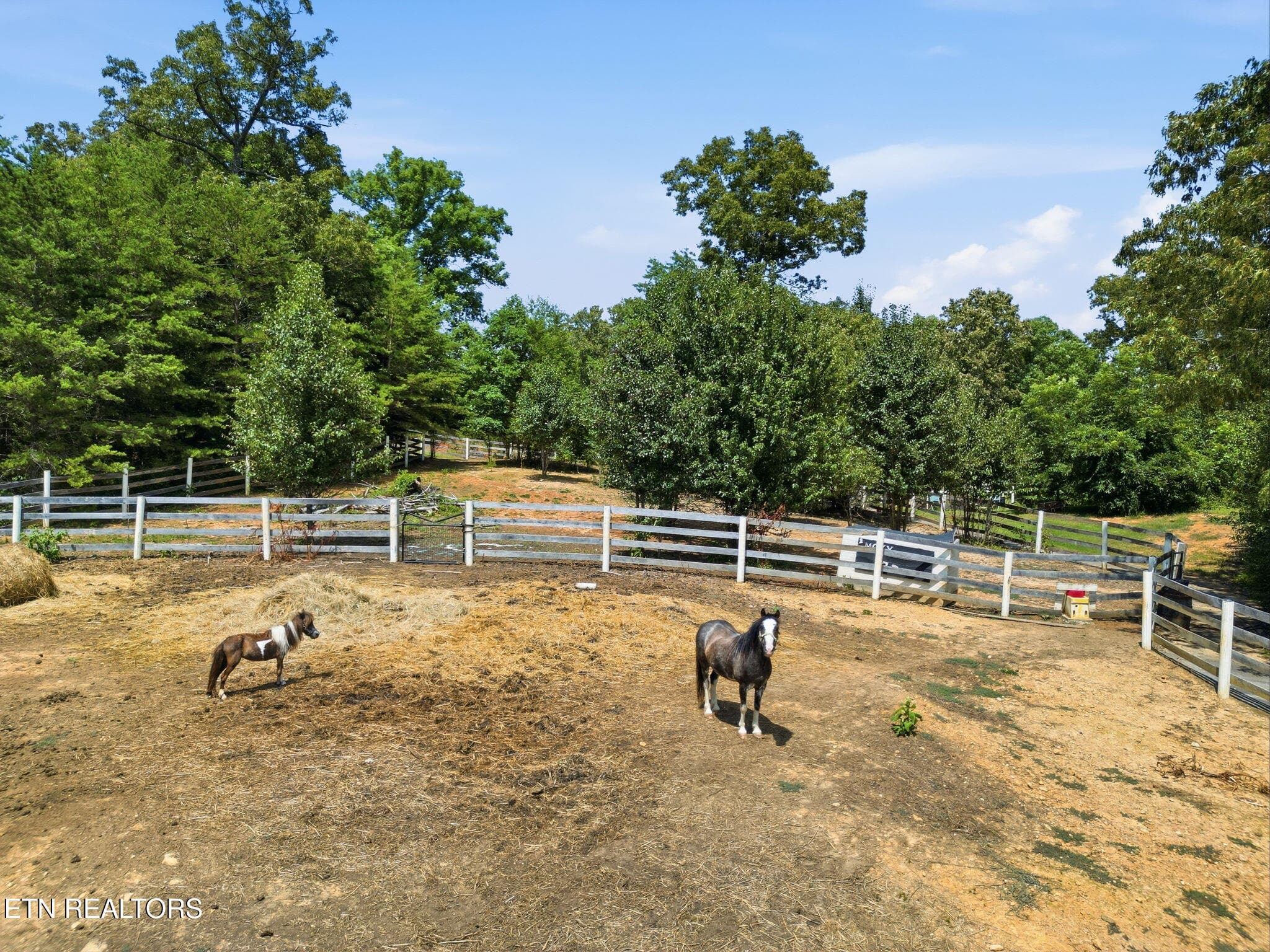 Horse Arena - 802 Lee Shirley Rd, Maryville, TN 37801