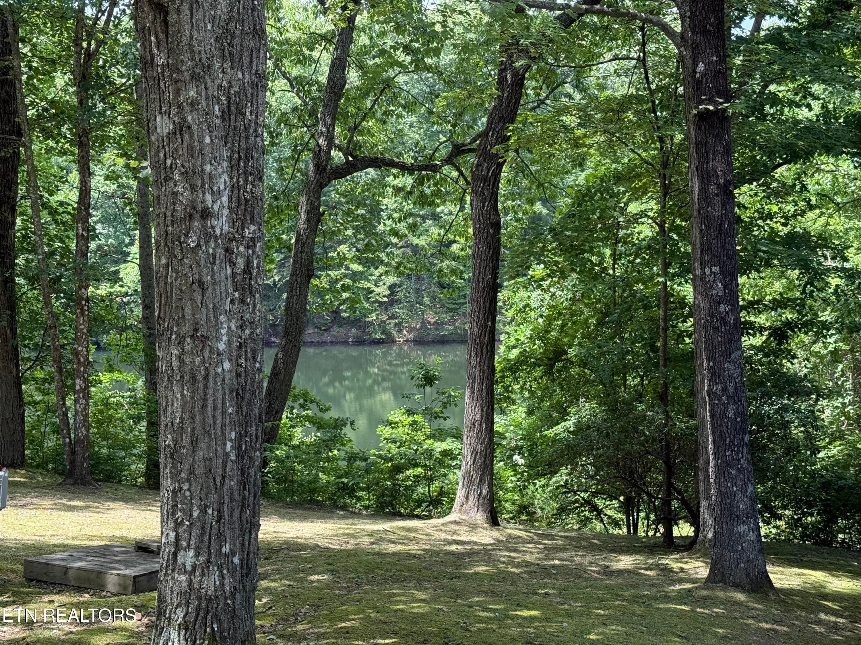 IMG_0189 - 291 Moytoy Rd U 206, Crab Orchard, TN 37723, Crab Orchard