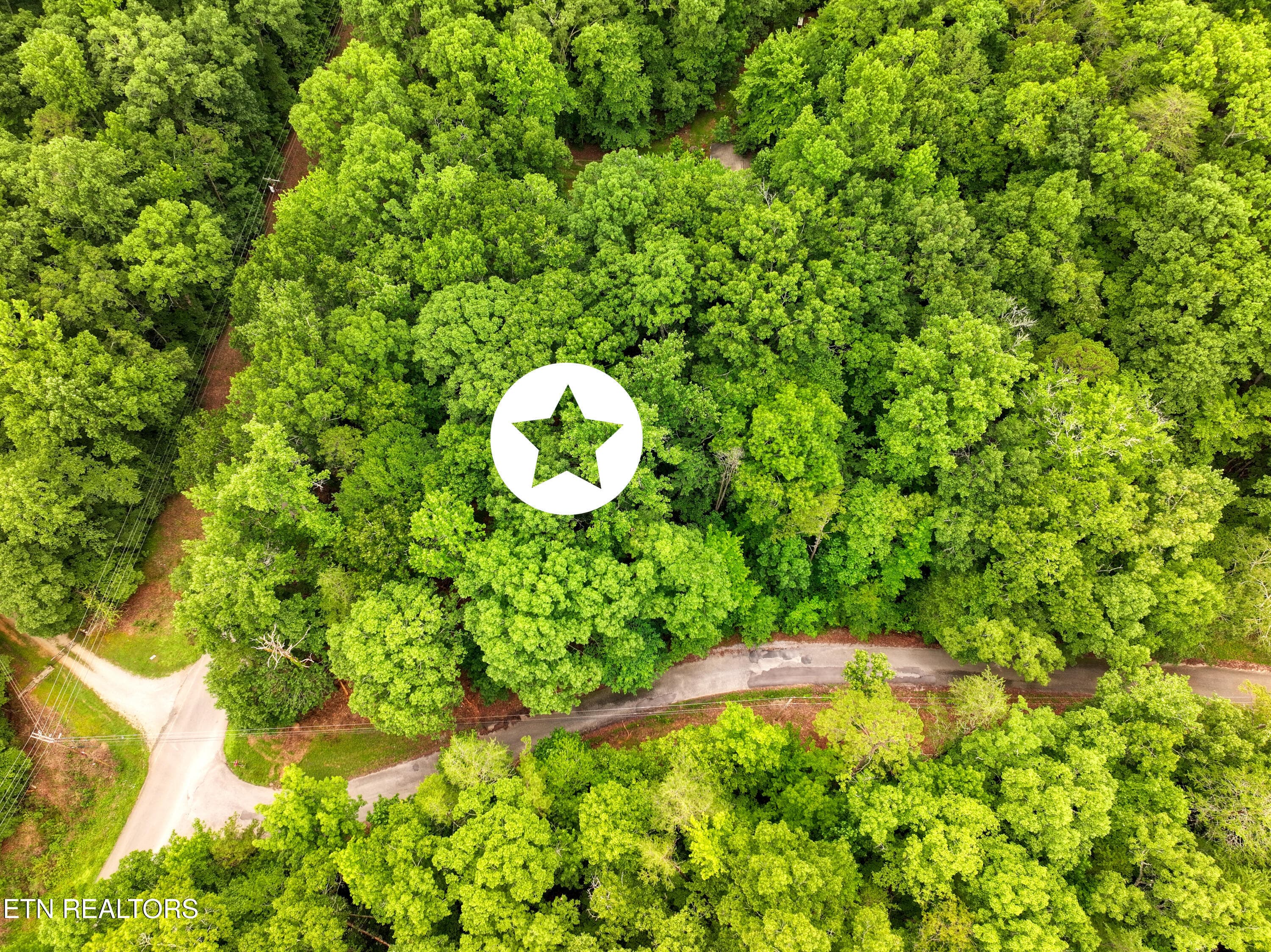 DJI_20260715095107_0241_D_57 - Lake Overlook Drive, Rockwood, TN 37854
