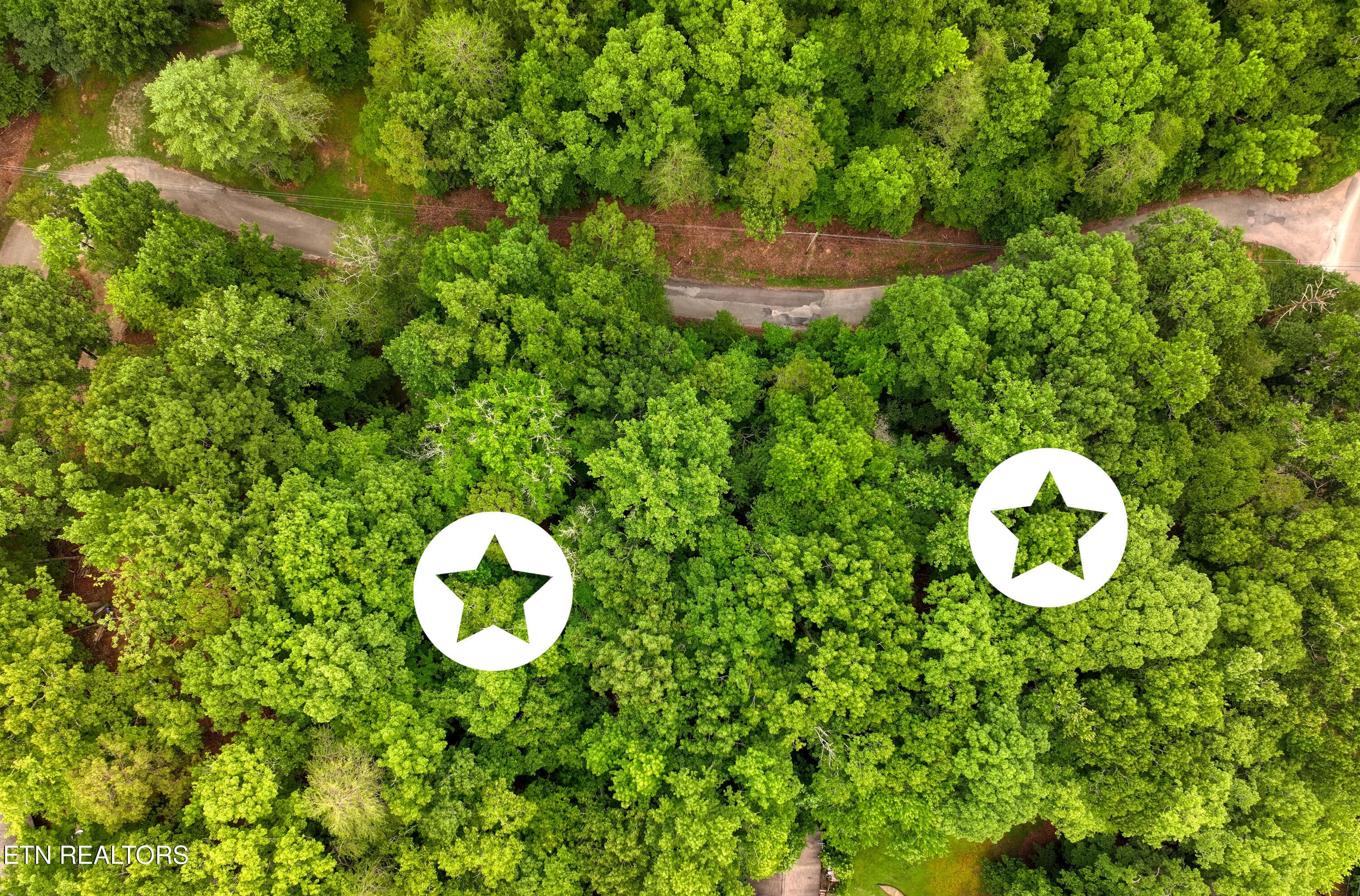 DJI_20260715095123_0246_D_58 - Lake Overlook Drive, Rockwood, TN 37854