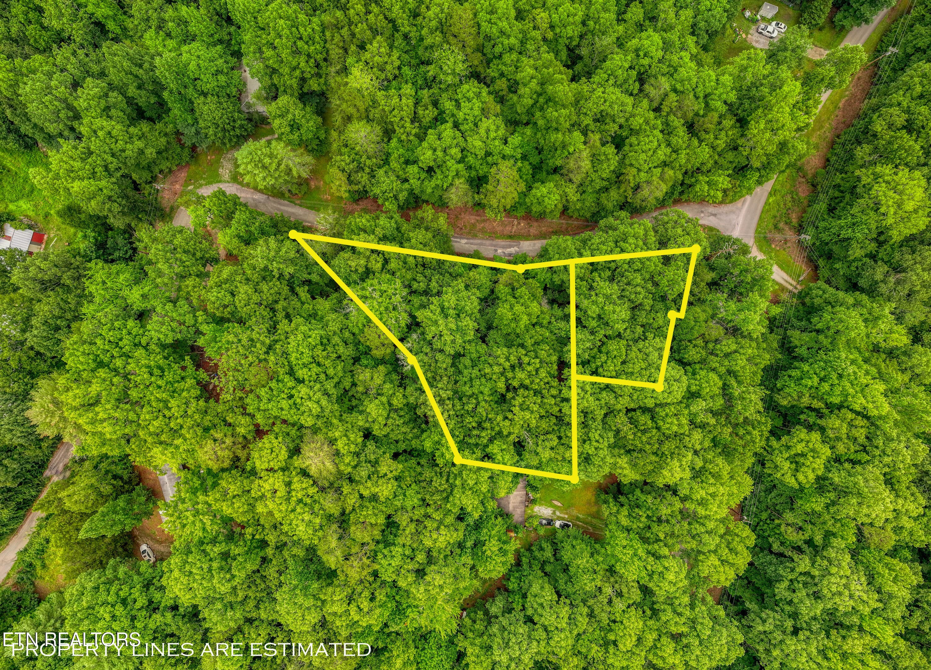 DJI_20260715095147_0247_D_59.2 - Lake Overlook Drive, Rockwood, TN 37854