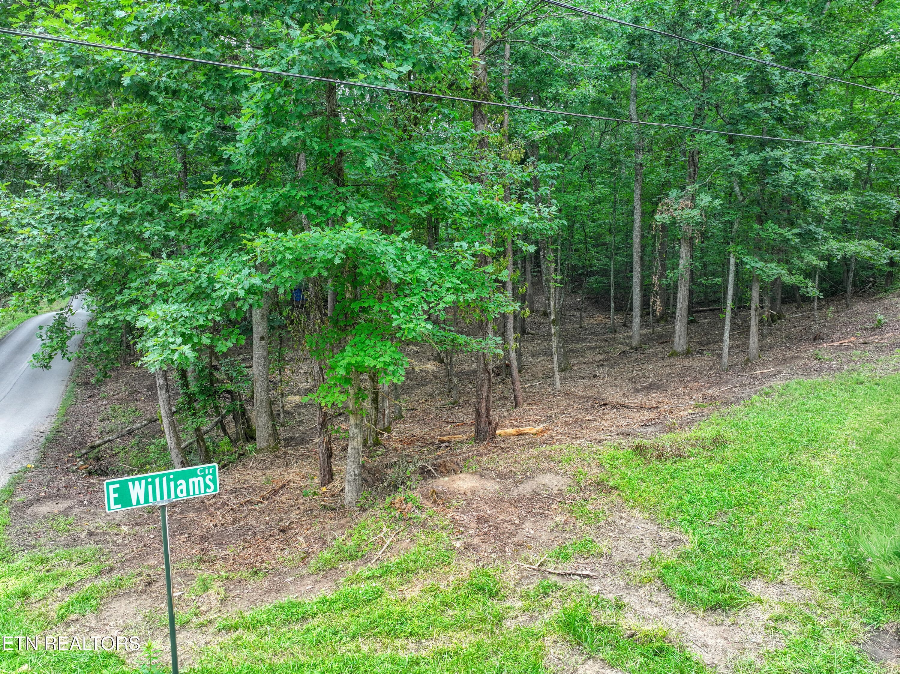 DJI_20260715095617_0292_D_68 - Lake Overlook Drive, Rockwood, TN 37854