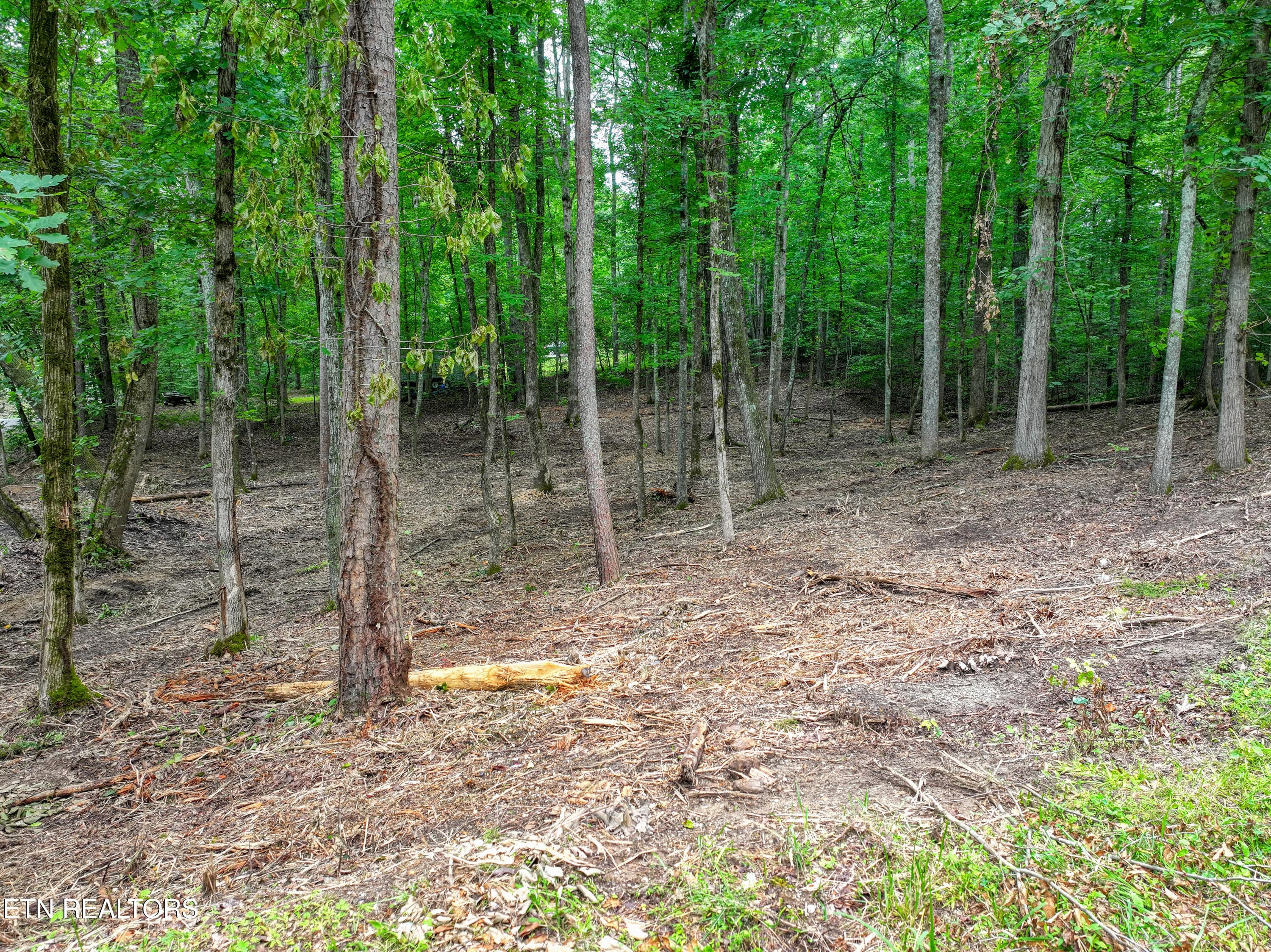DJI_20260715095632_0297_D_69 - Lake Overlook Drive, Rockwood, TN 37854