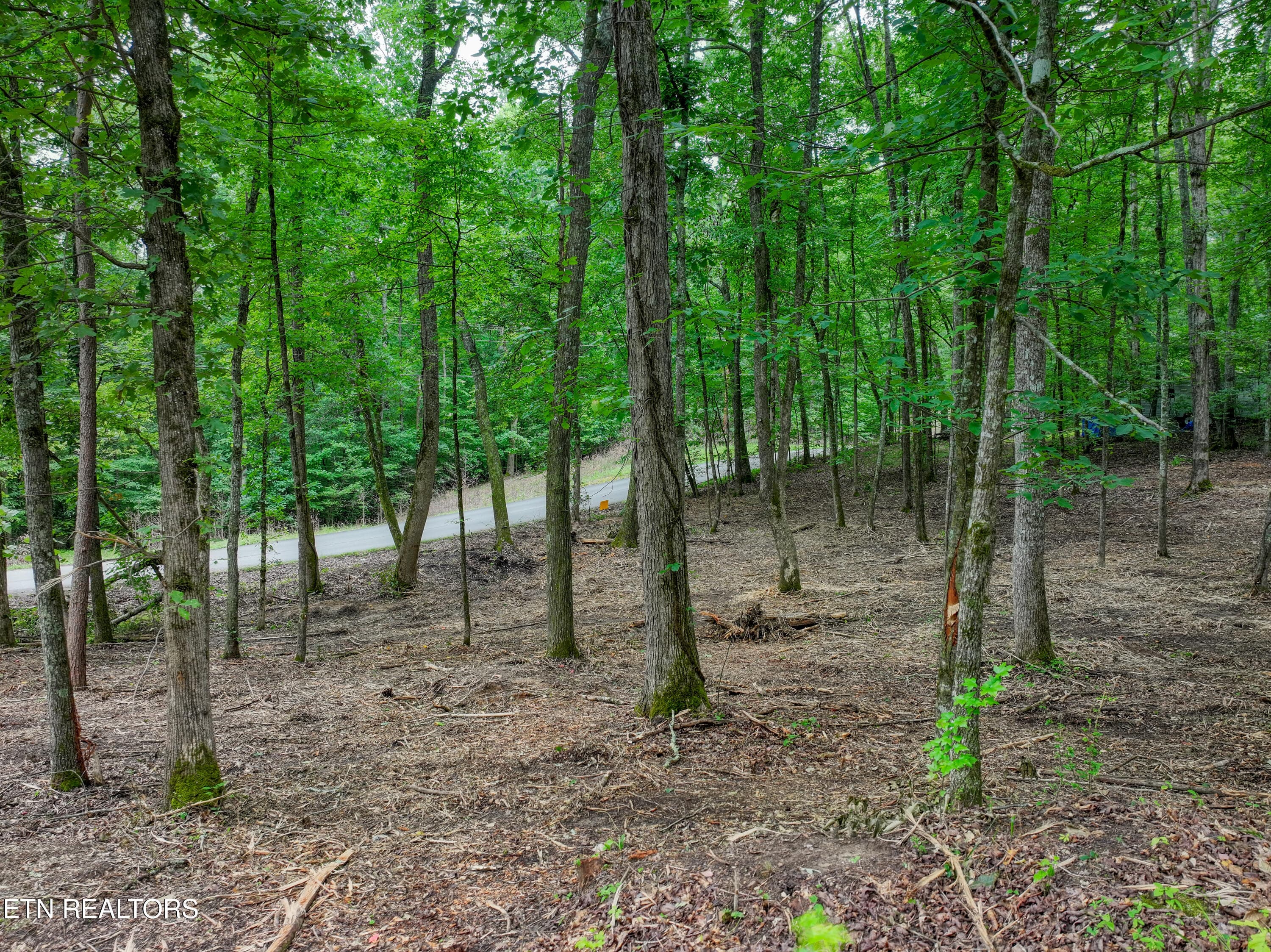 DJI_20260715095651_0302_D_70 - Lake Overlook Drive, Rockwood, TN 37854