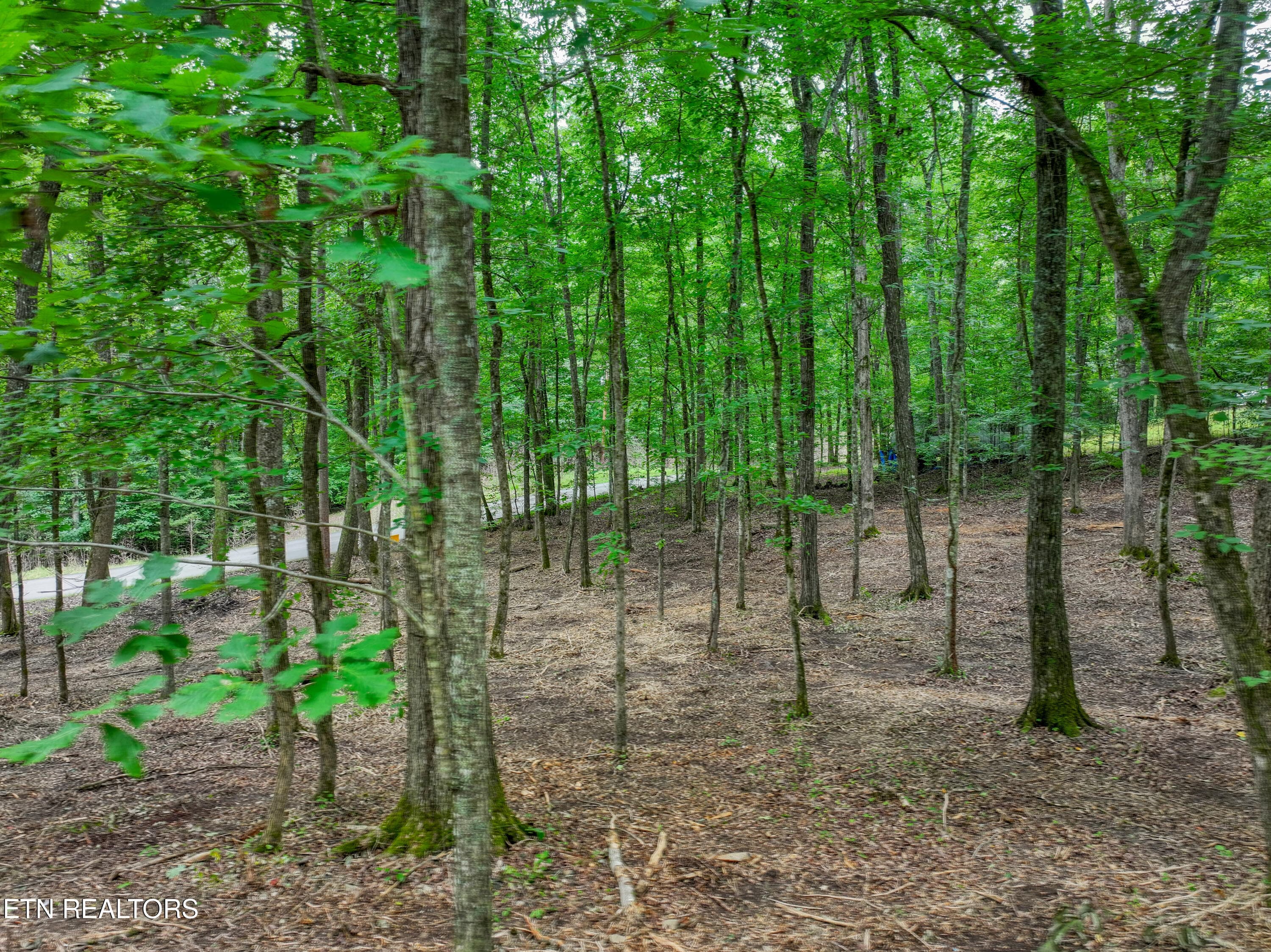 DJI_20260715095701_0303_D_71 - Lake Overlook Drive, Rockwood, TN 37854