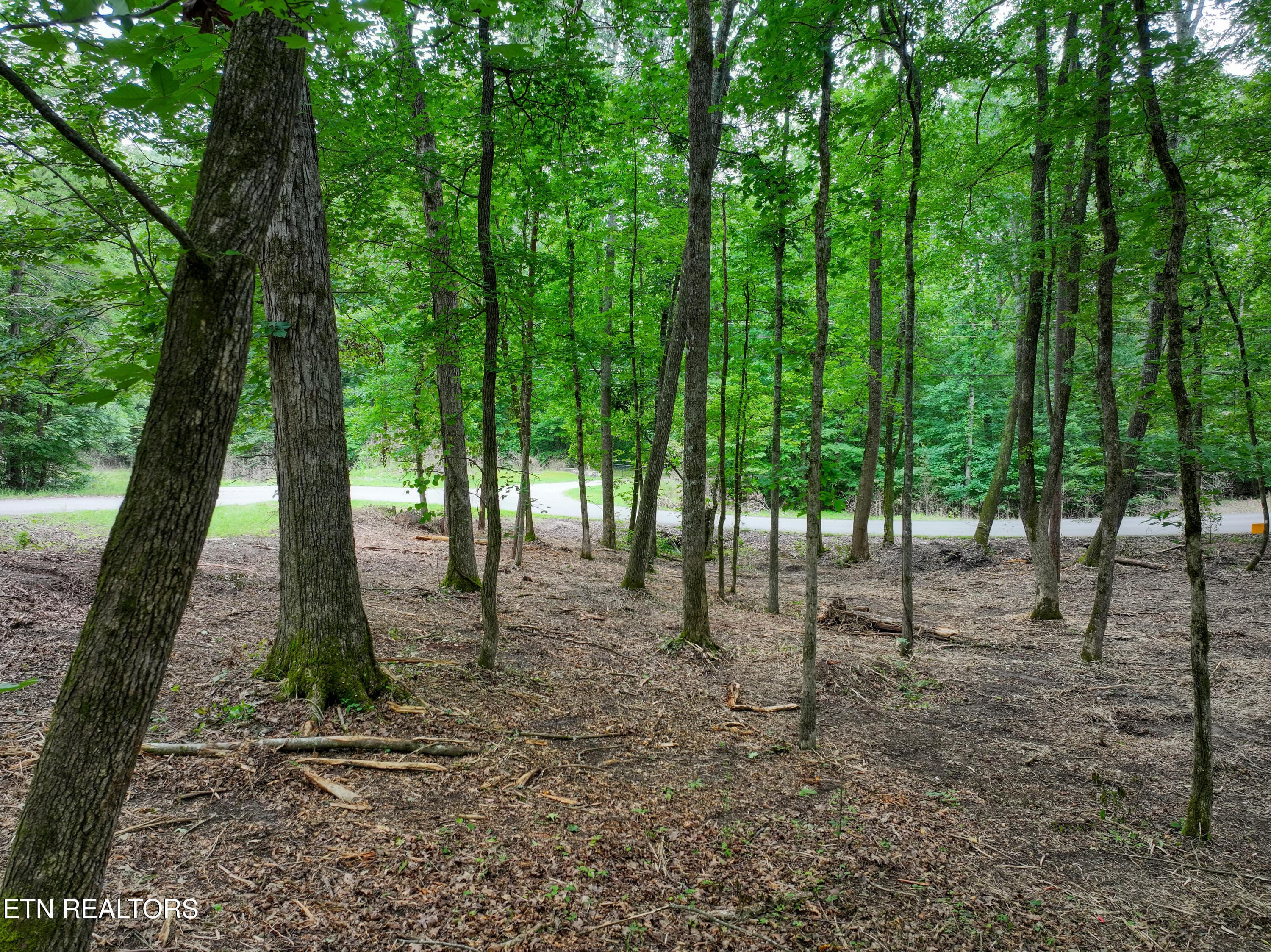 DJI_20260715095822_0324_D_76 - Lake Overlook Drive, Rockwood, TN 37854