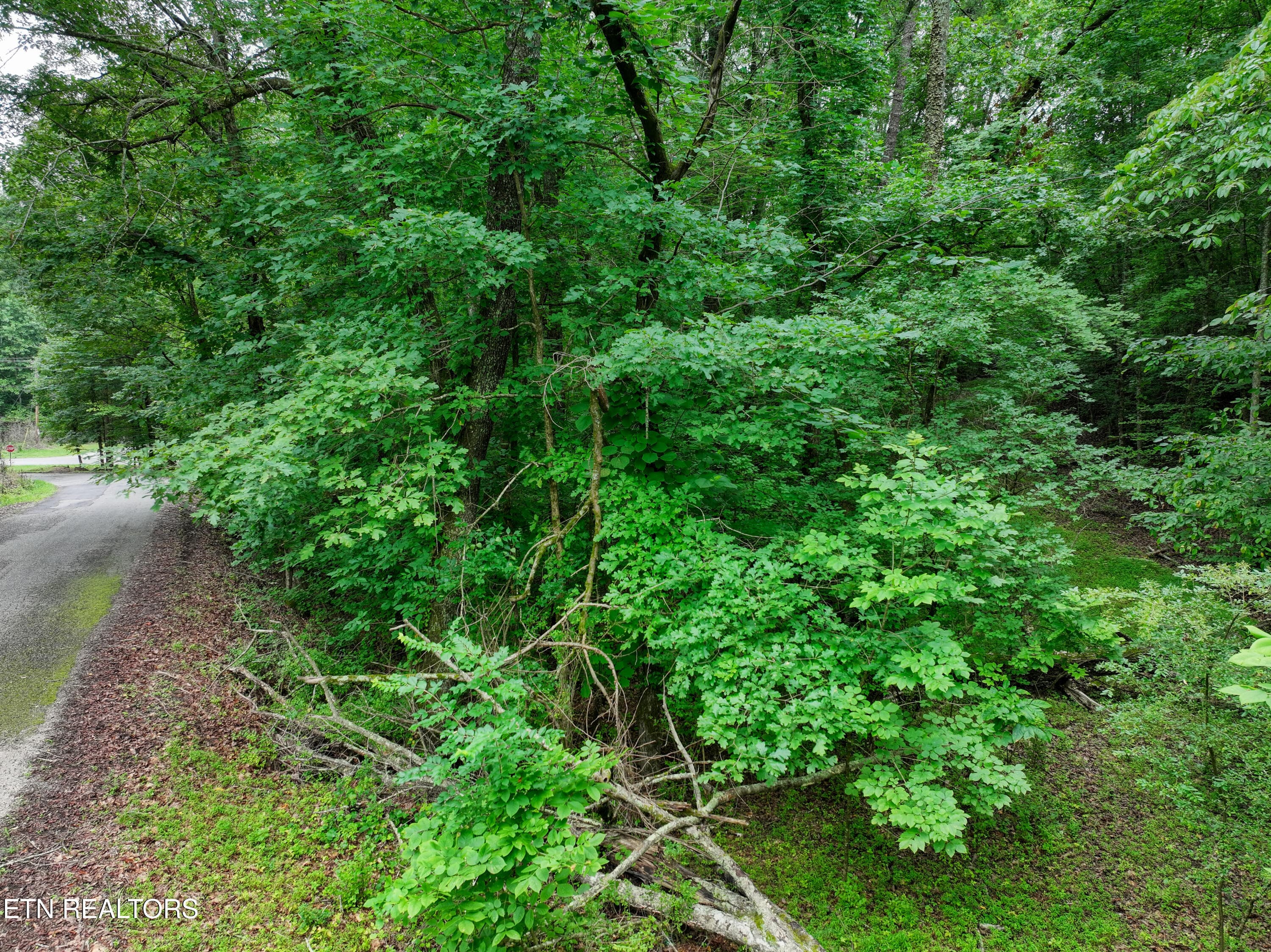 DJI_20260715100028_0339_D_79 - Lake Overlook Drive, Rockwood, TN 37854