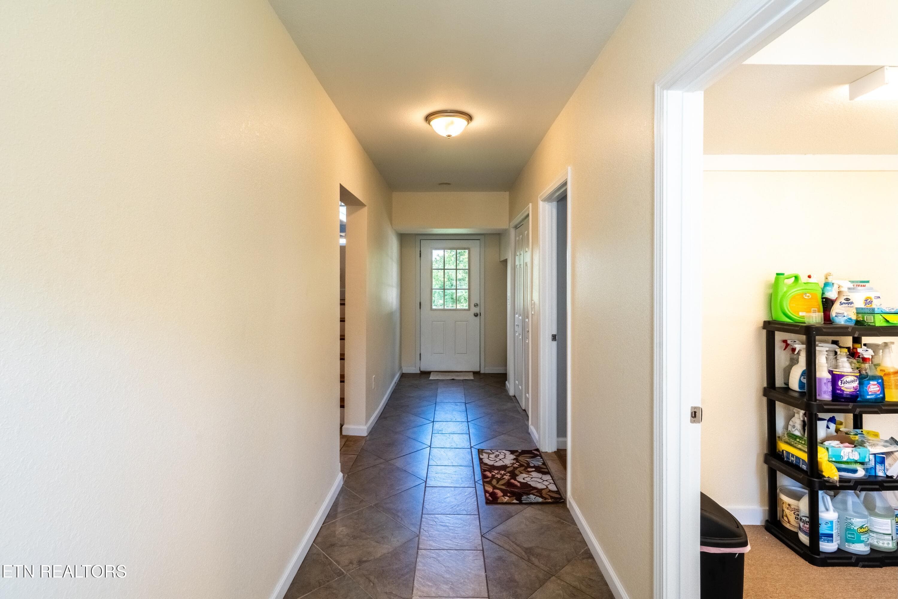 Lower Level - 1225 Paradise Lane, Dandridge, TN 37725
