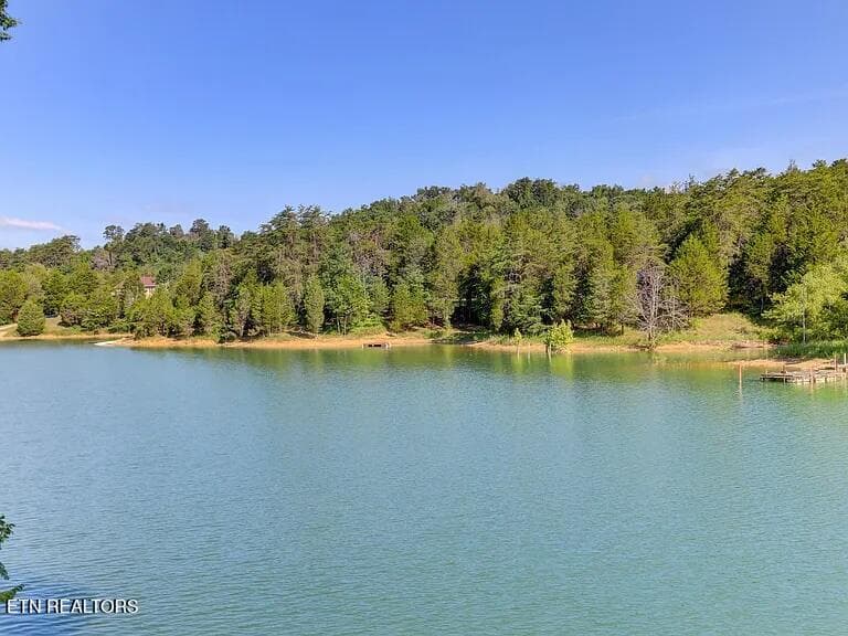 Cove view from property - 1225 Paradise Lane, Dandridge, TN 37725