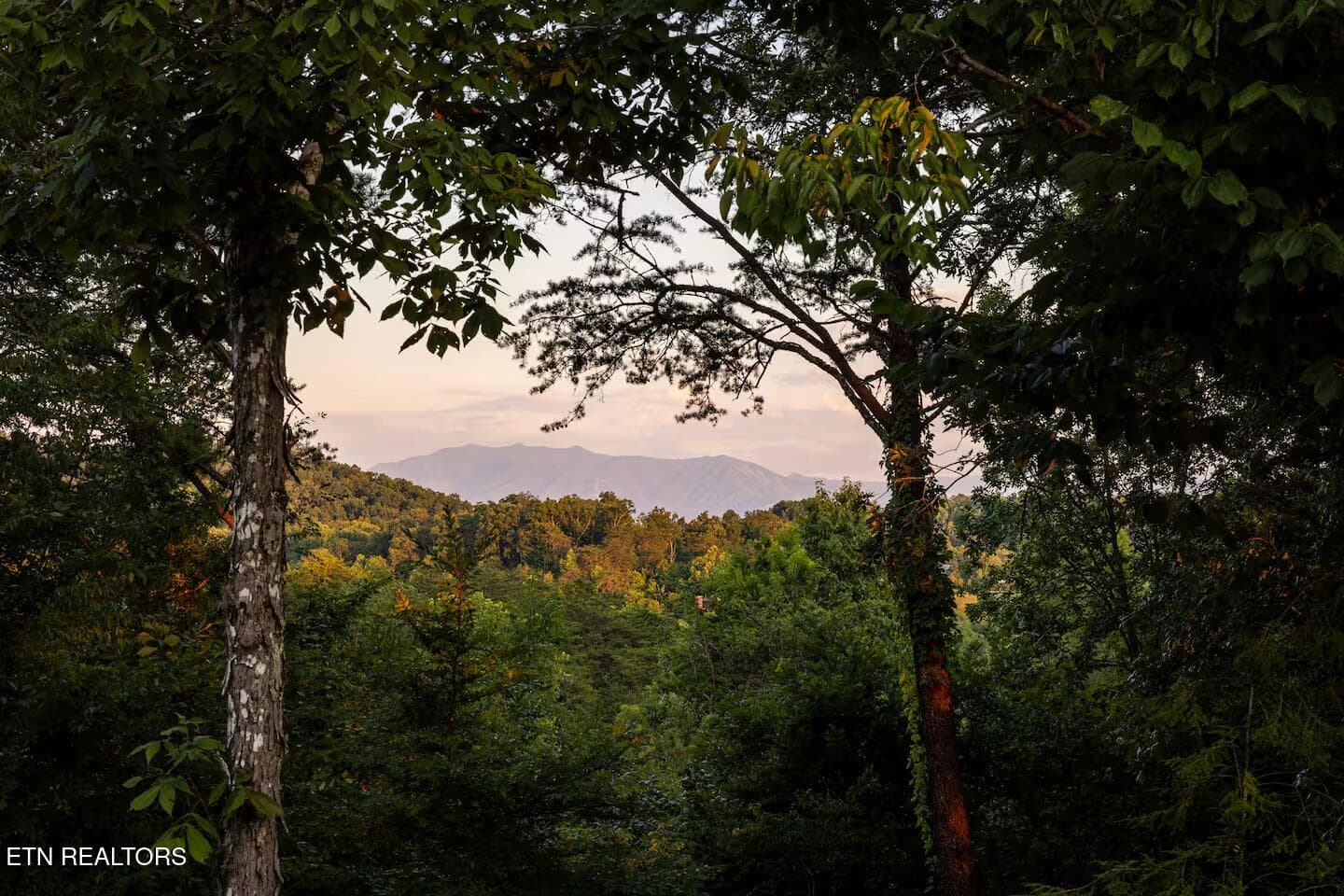 RuleWayView - 218 Rule Way, Sevierville, TN 37876