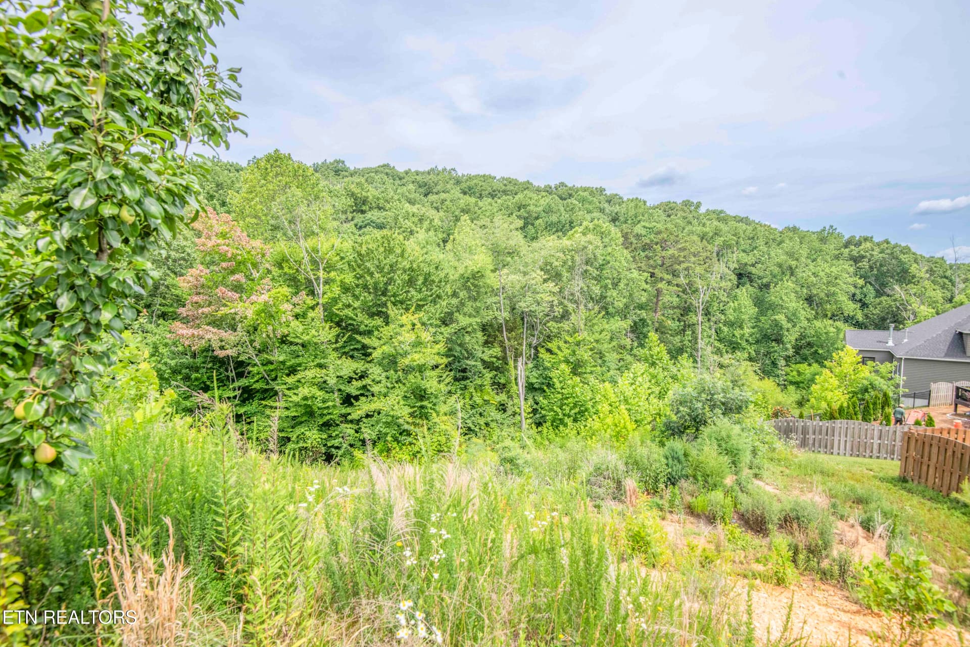 yard 3_1 - 1905 Highlands Ridge Lane, Knoxville, TN 37932