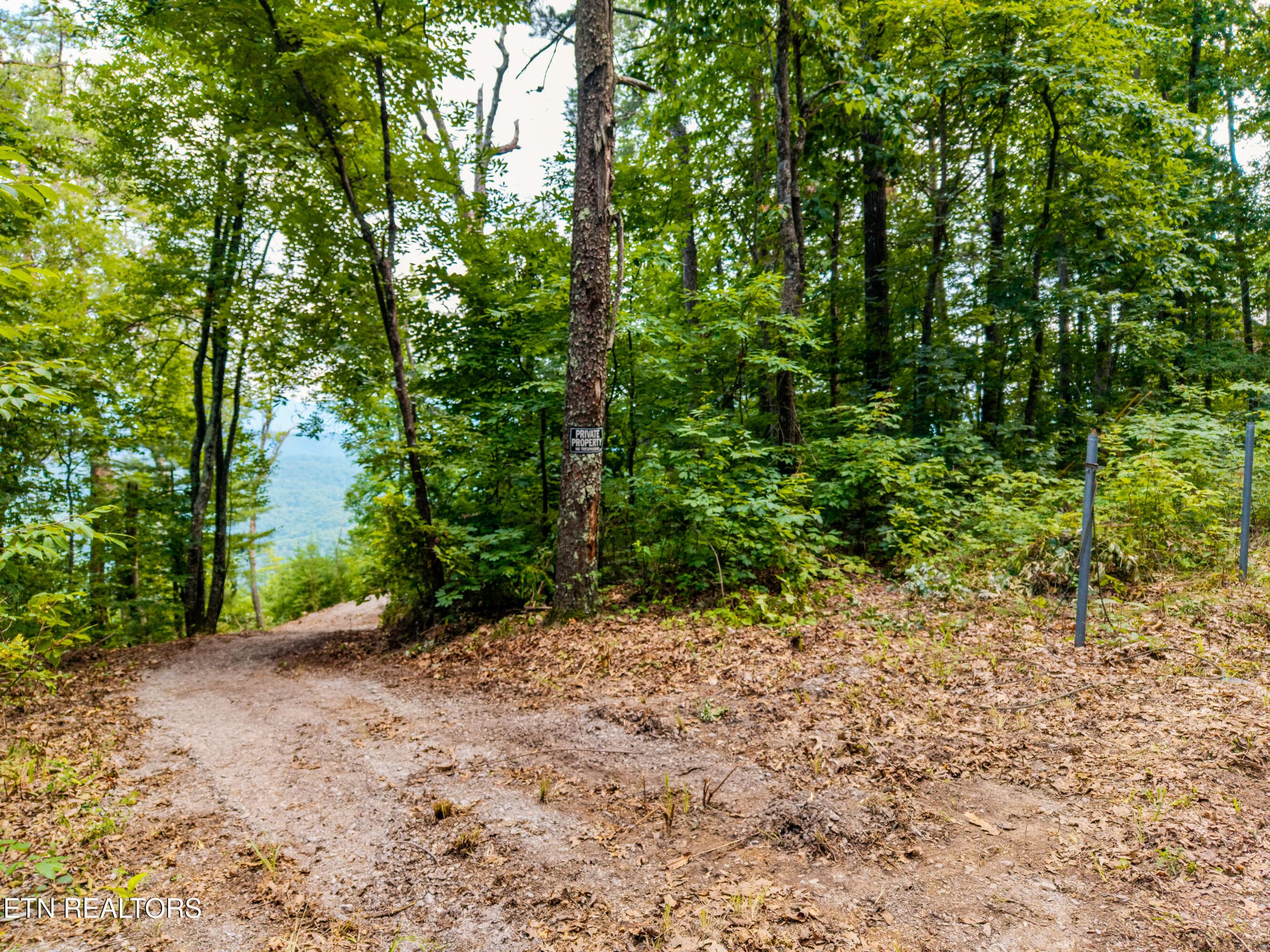 TowerRoad-38 - Lot 45 Tower Rd, Tallassee, TN 37878