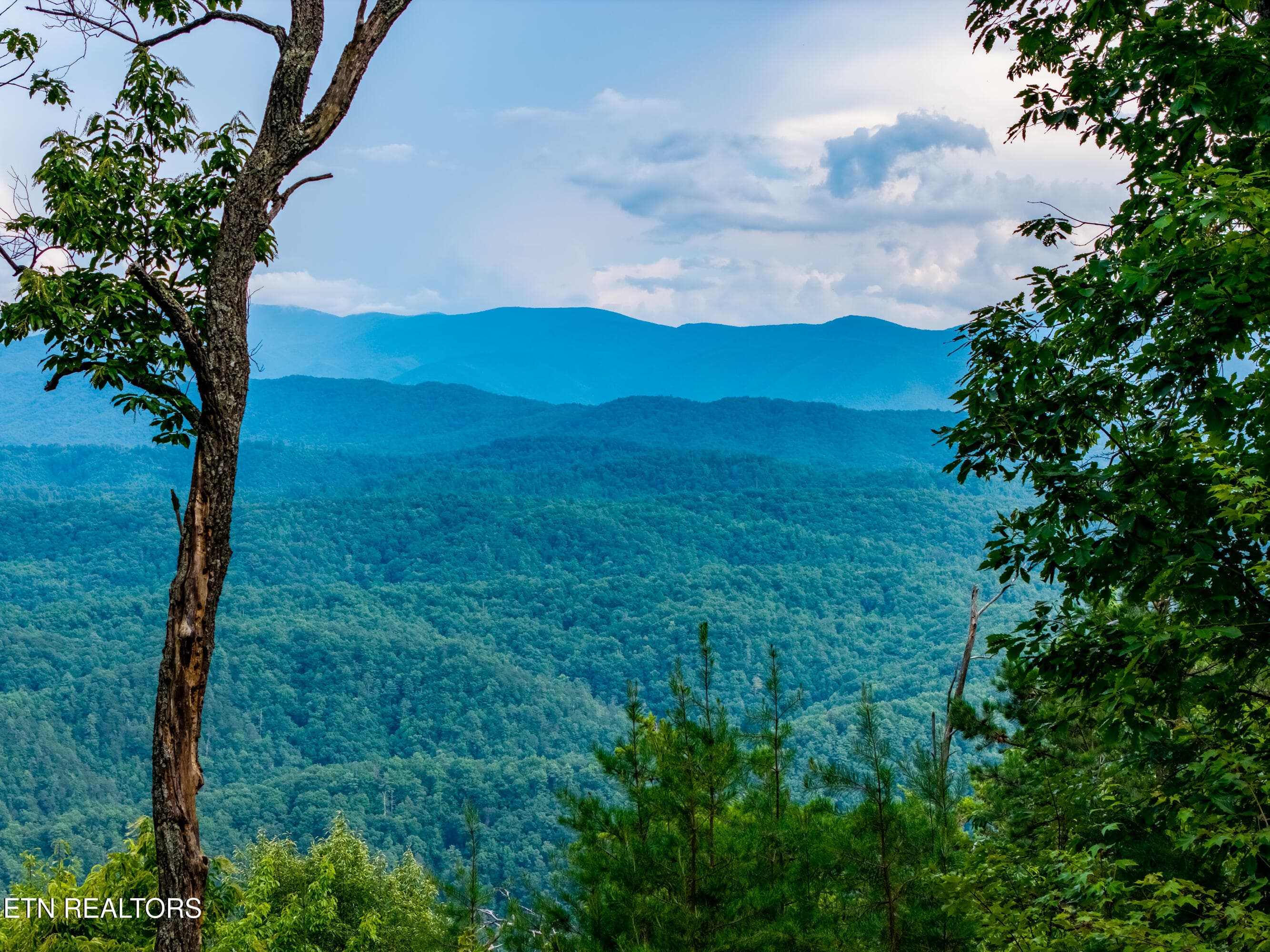 TowerRoad-41 - Lot 45 Tower Rd, Tallassee, TN 37878