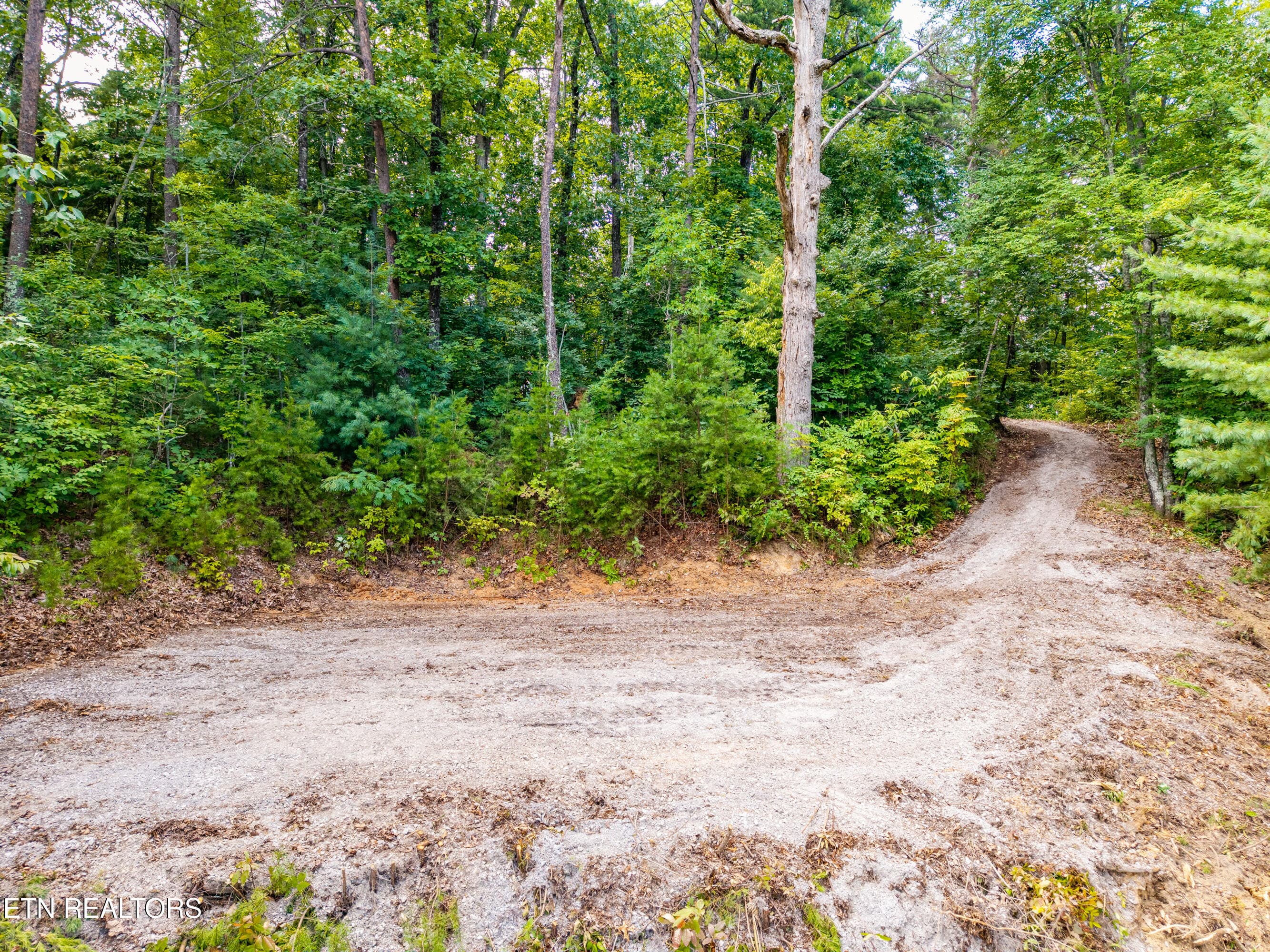 TowerRoad-44 - Lot 45 Tower Rd, Tallassee, TN 37878
