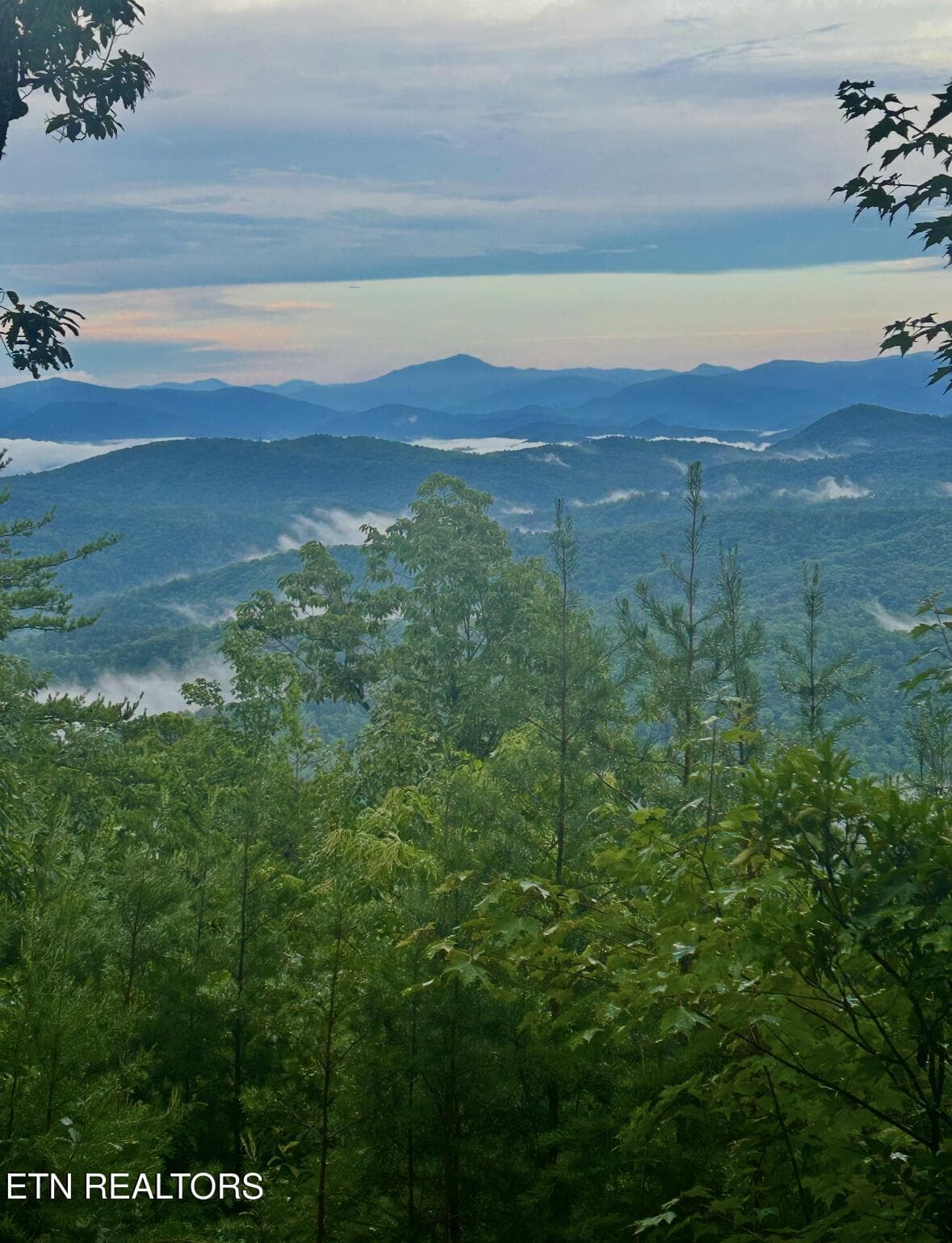 Mtn view 3 - Lot 45 Tower Rd, Tallassee, TN 37878