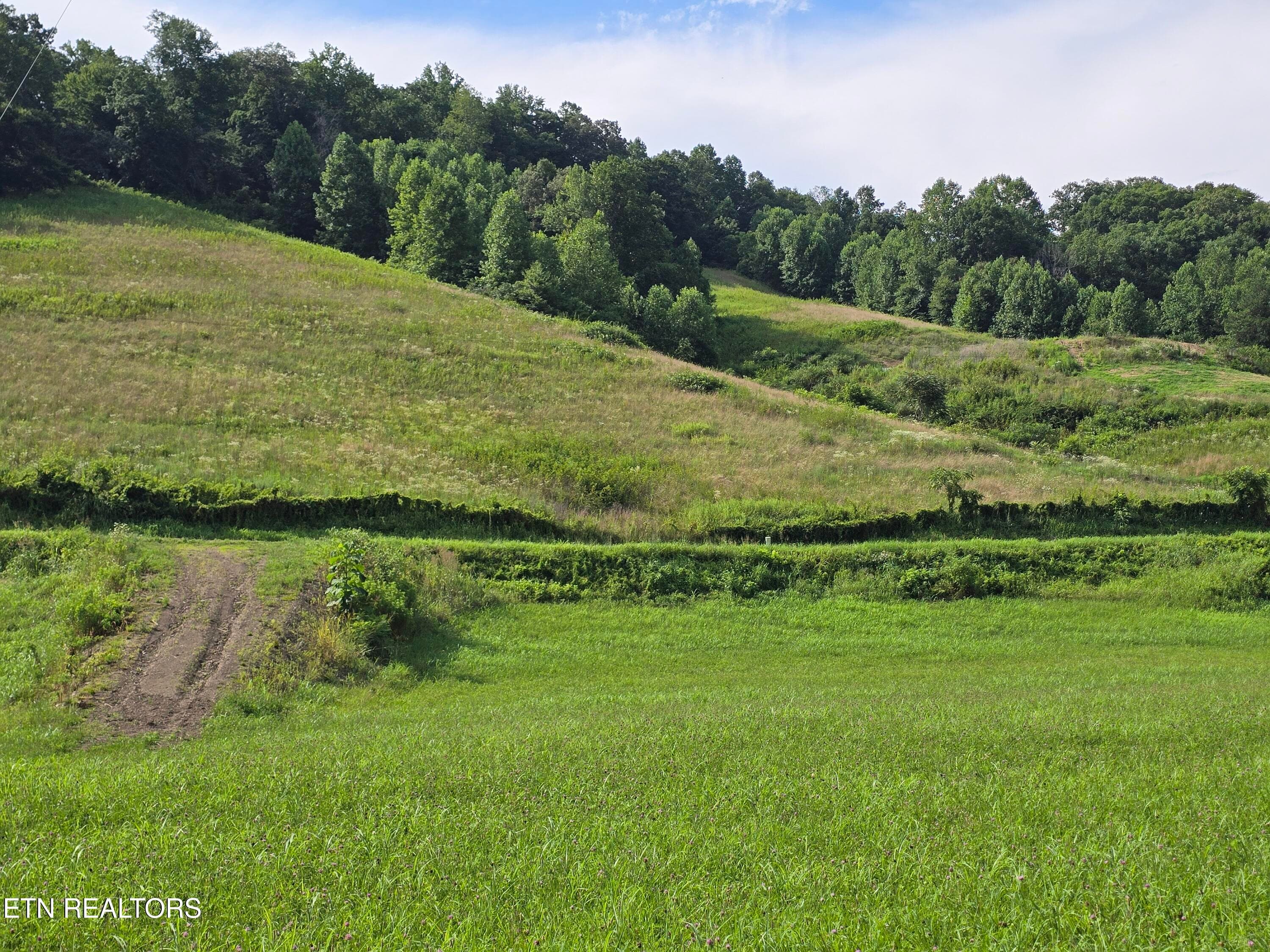 20260707_170902 - TBD Caney Valley Lots 4, 5 & 6 Rd, Sneedville, TN 37869