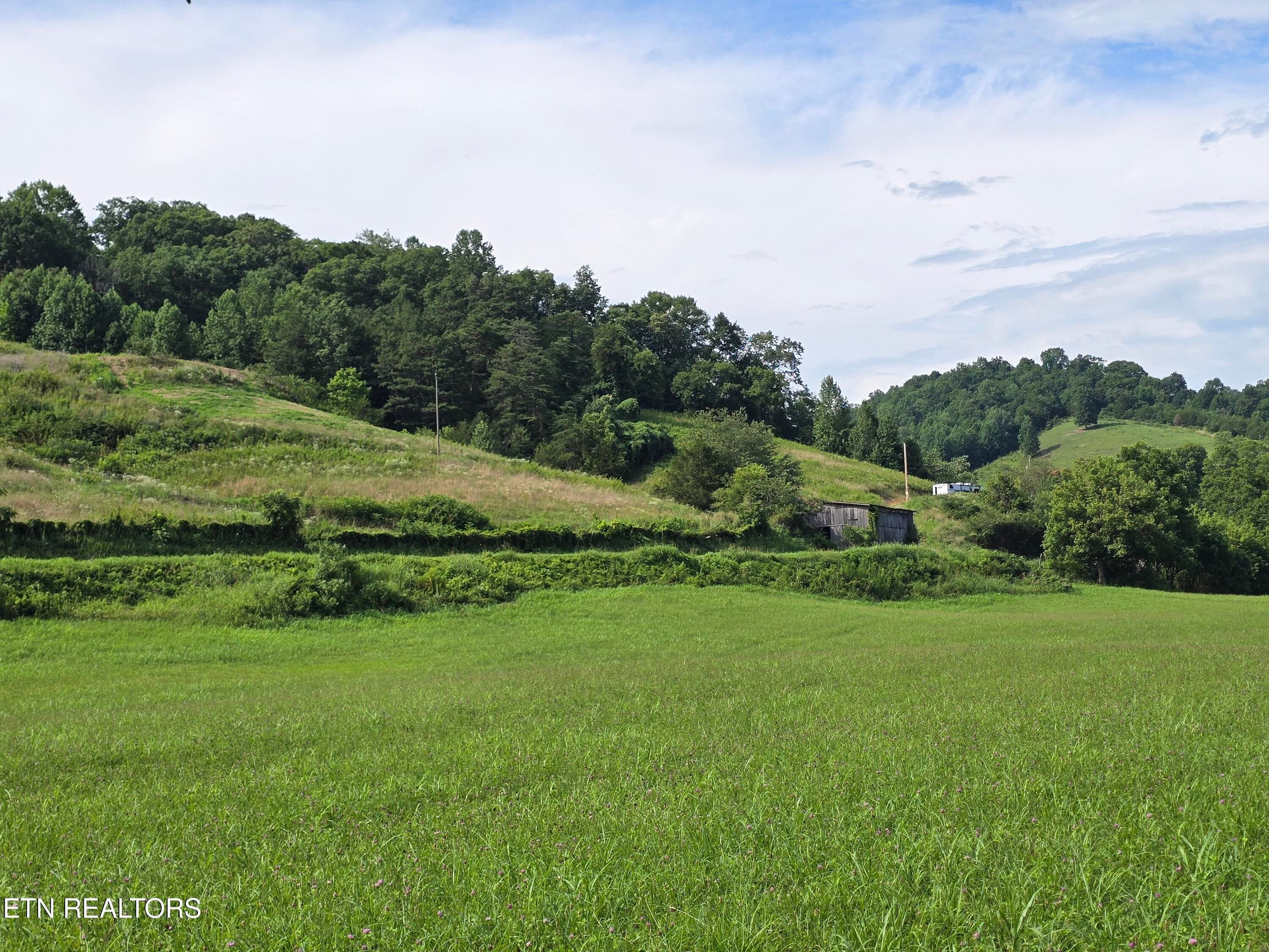 20260707_170917 - TBD Caney Valley Lots 4, 5 & 6 Rd, Sneedville, TN 37869