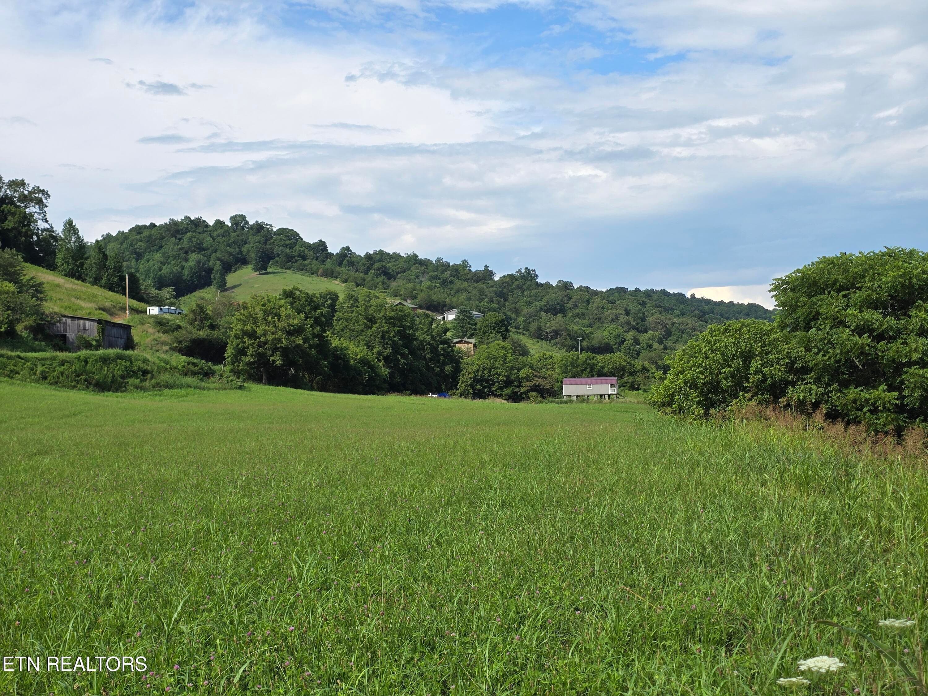 20260707_170928 - TBD Caney Valley Lots 4, 5 & 6 Rd, Sneedville, TN 37869