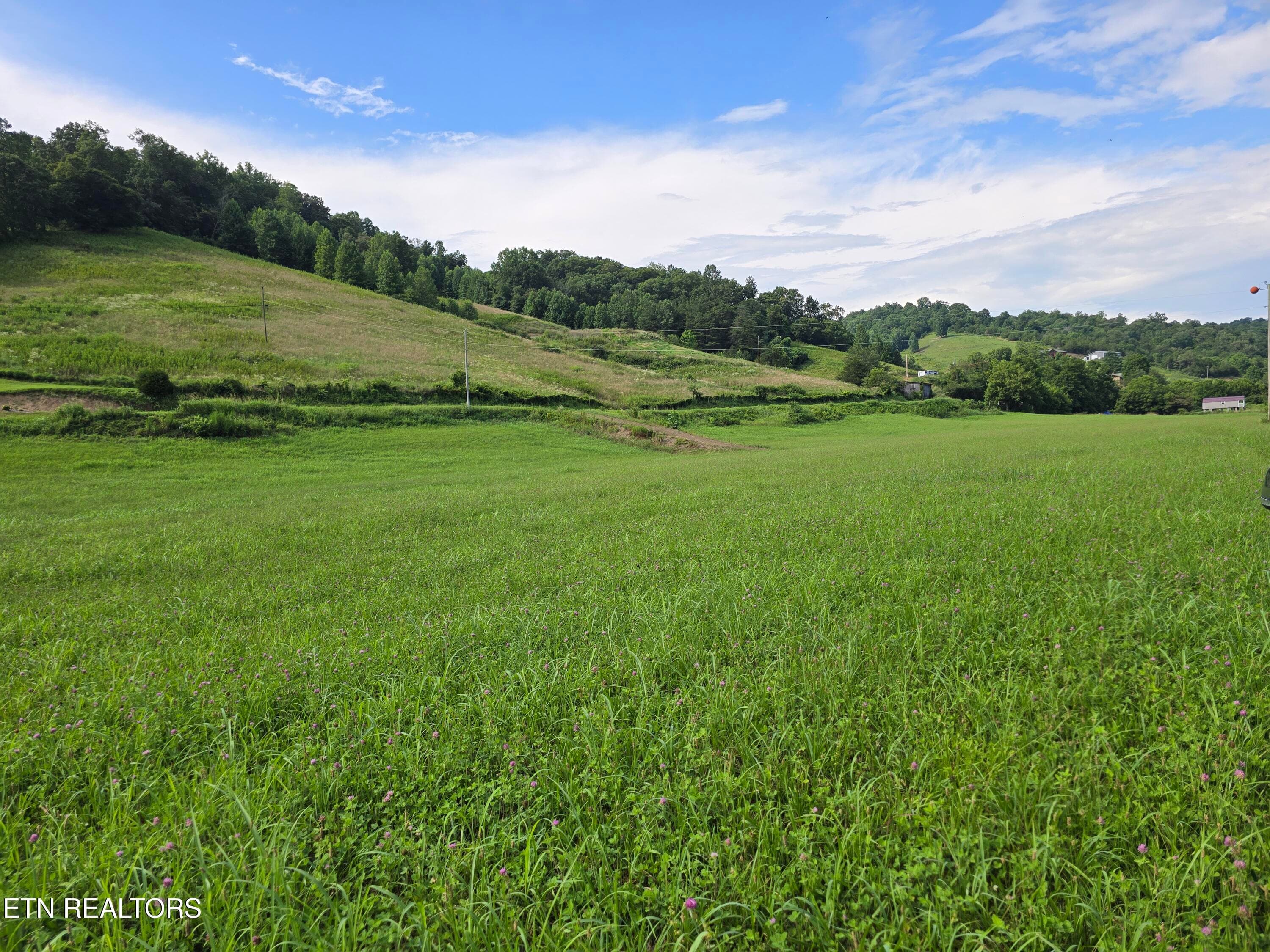 20260707_171401 - TBD Caney Valley Lots 4, 5 & 6 Rd, Sneedville, TN 37869