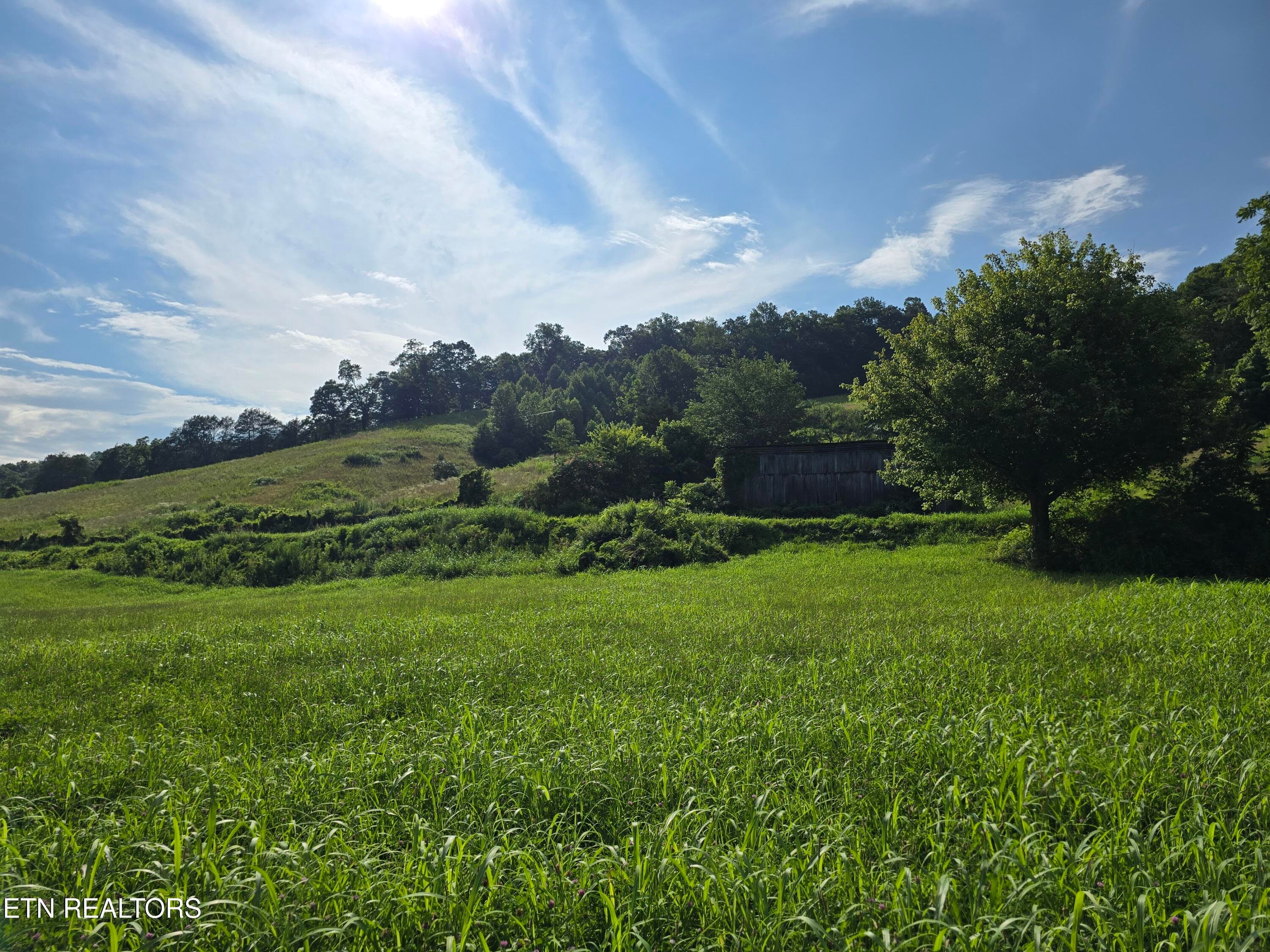 20260707_172918 - TBD Caney Valley Lots 4, 5 & 6 Rd, Sneedville, TN 37869