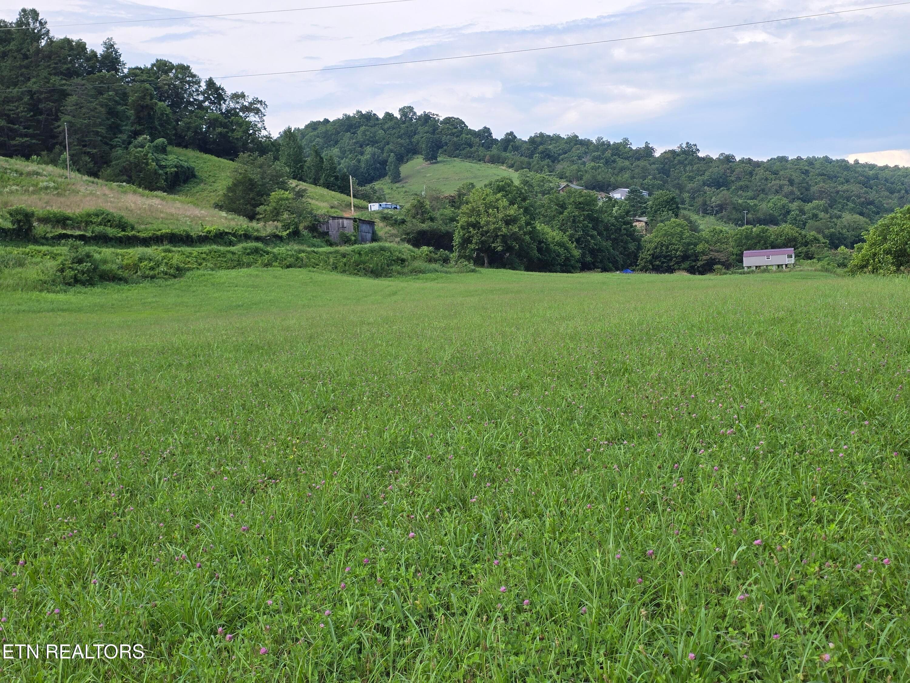 20260707_171132 - Copy - TBD Caney Valley Lots 4, 5 & 6 Rd, Sneedville, TN 37869