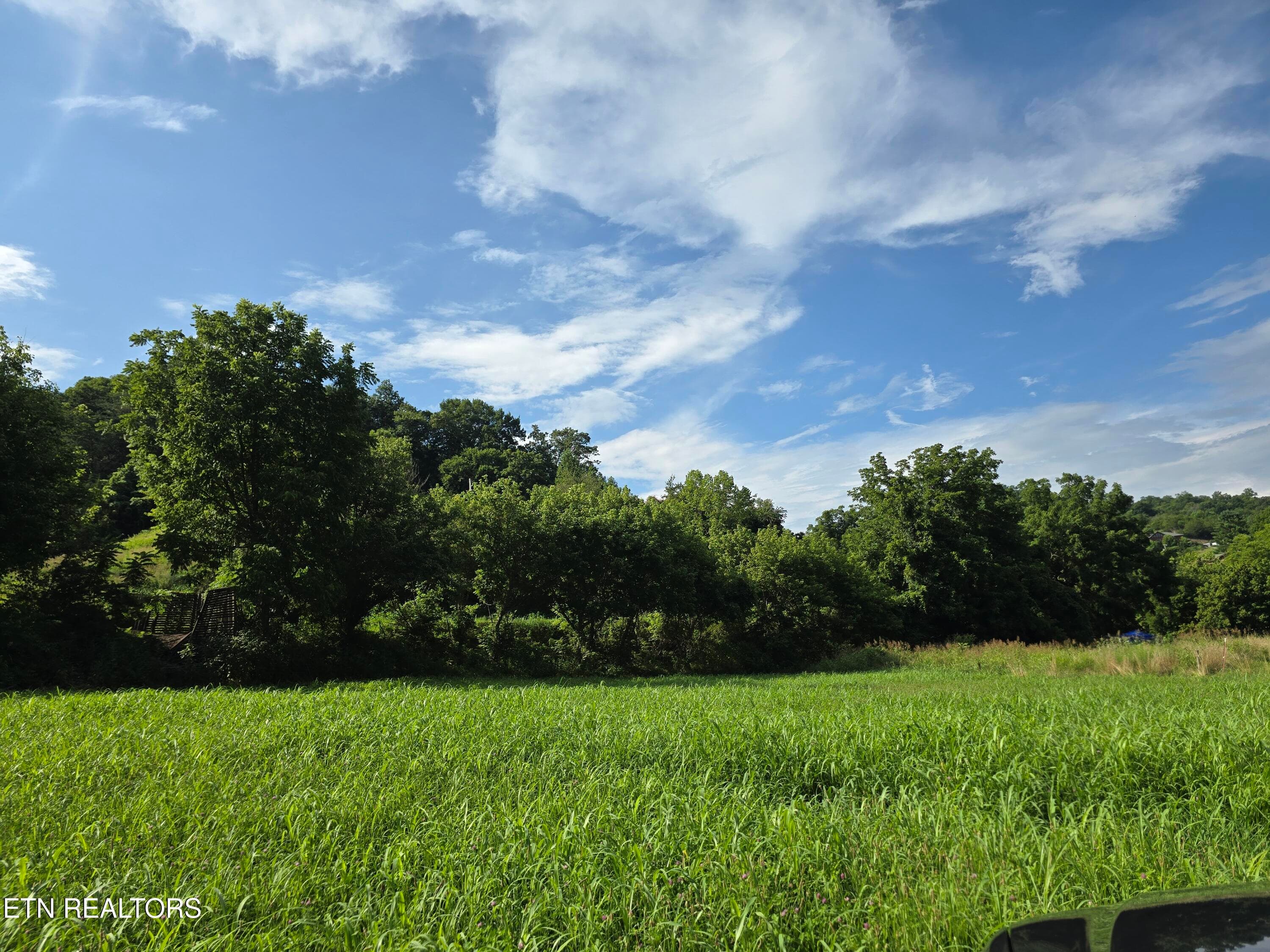 20260707_172925 - Copy - TBD Caney Valley Lots 4, 5 & 6 Rd, Sneedville, TN 37869