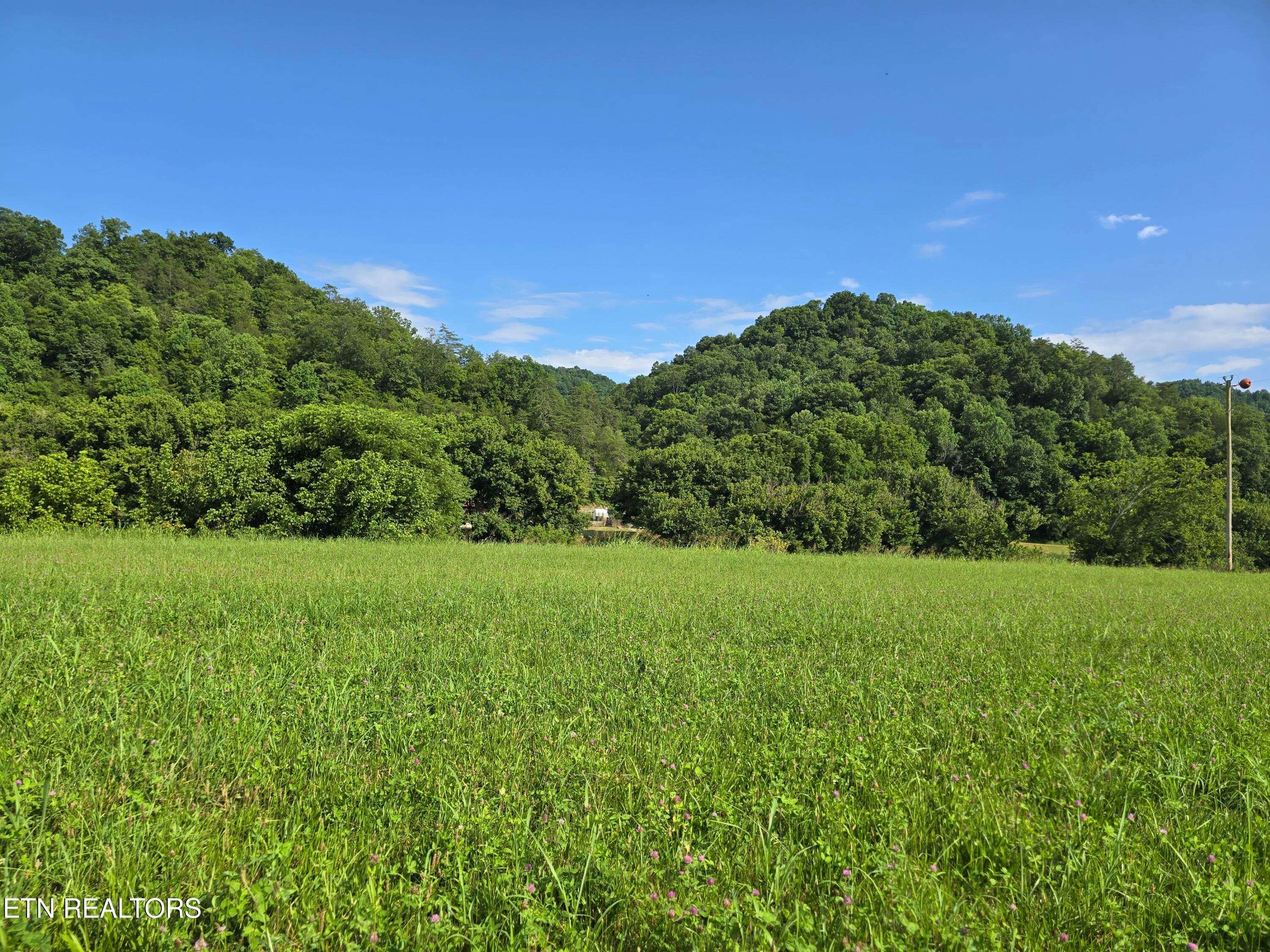 20260707_173133 - TBD Caney Valley Lots 4, 5 & 6 Rd, Sneedville, TN 37869